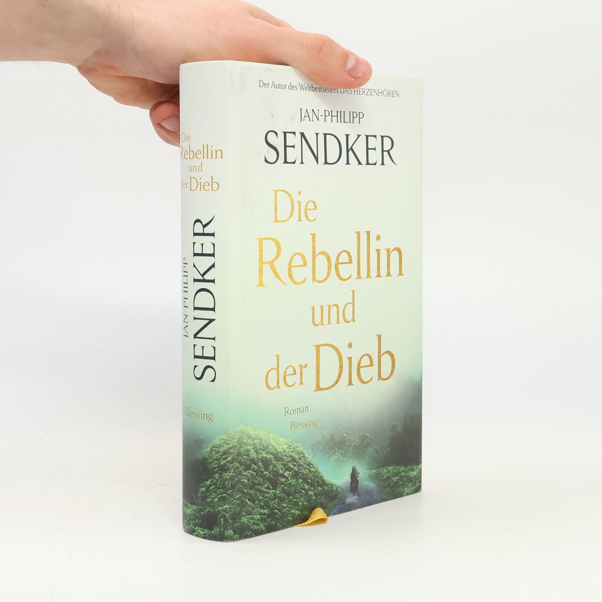 Jan-Philipp Sendker Die Rebellin und der Dieb
