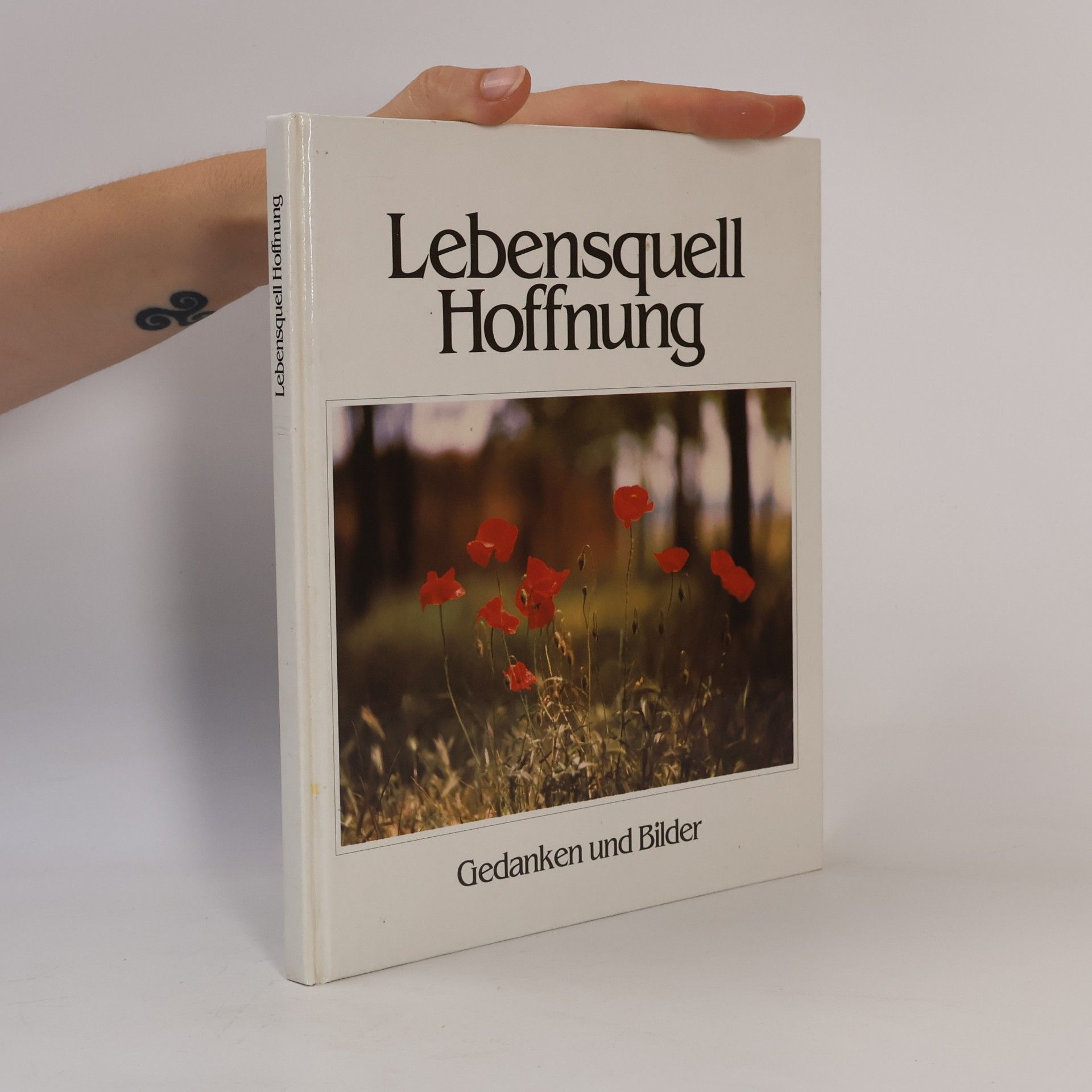 Janos Selmeczi Toth Lebensquell Hoffnung