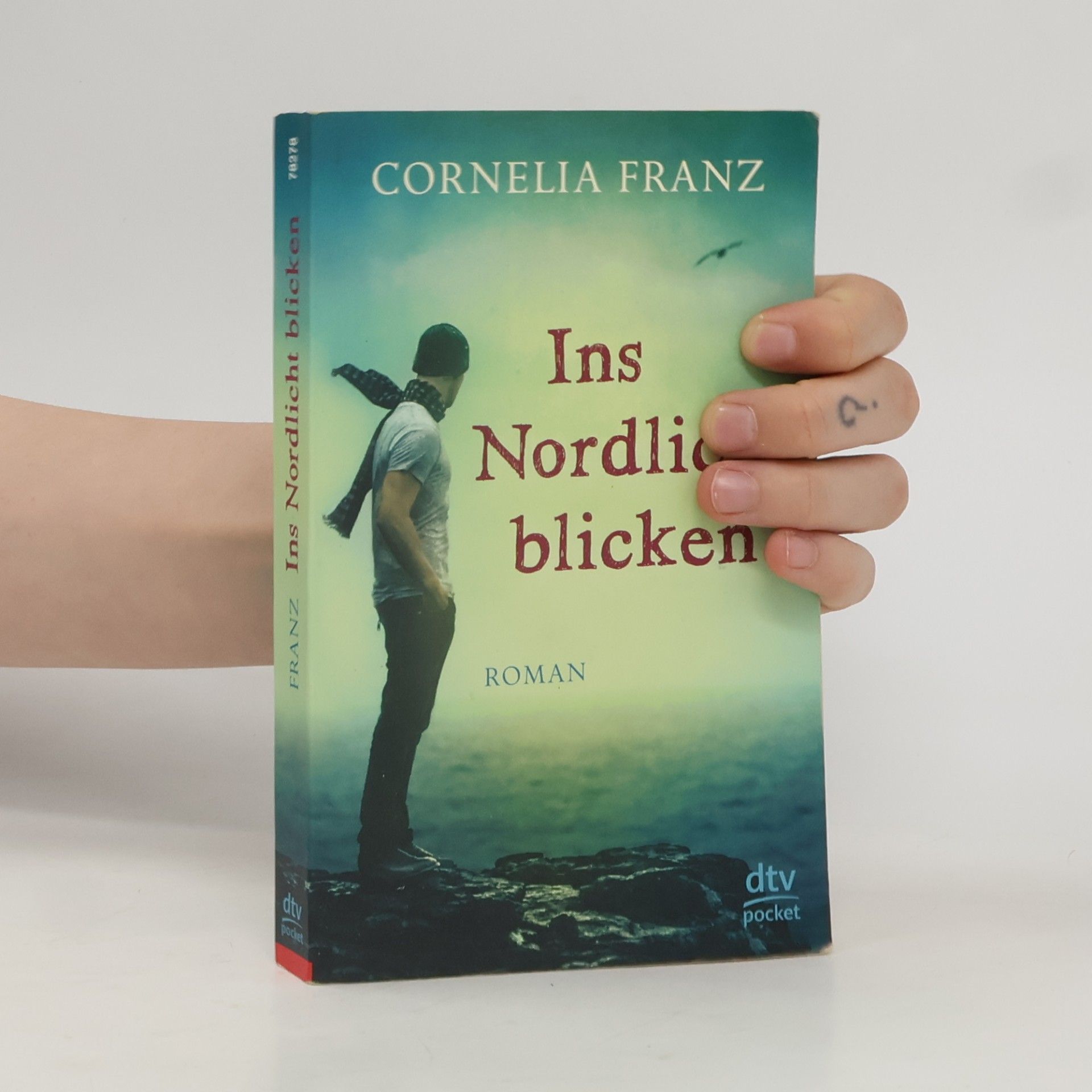 Cornelia Franz Ins Nordlicht blicken