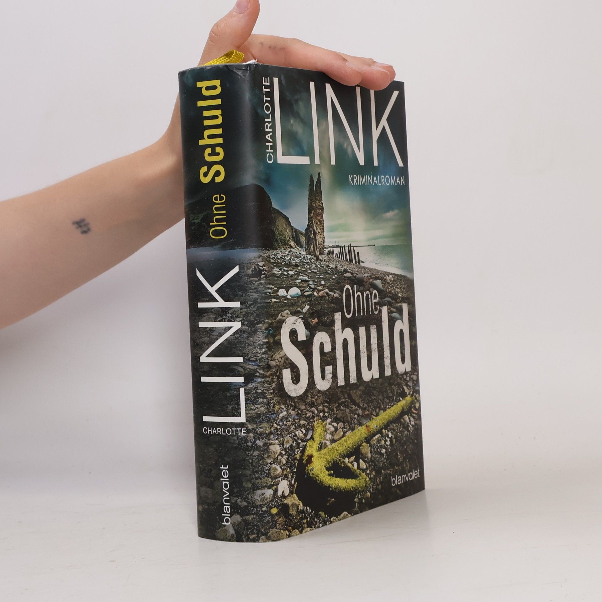Charlotte Link Ohne Schuld
