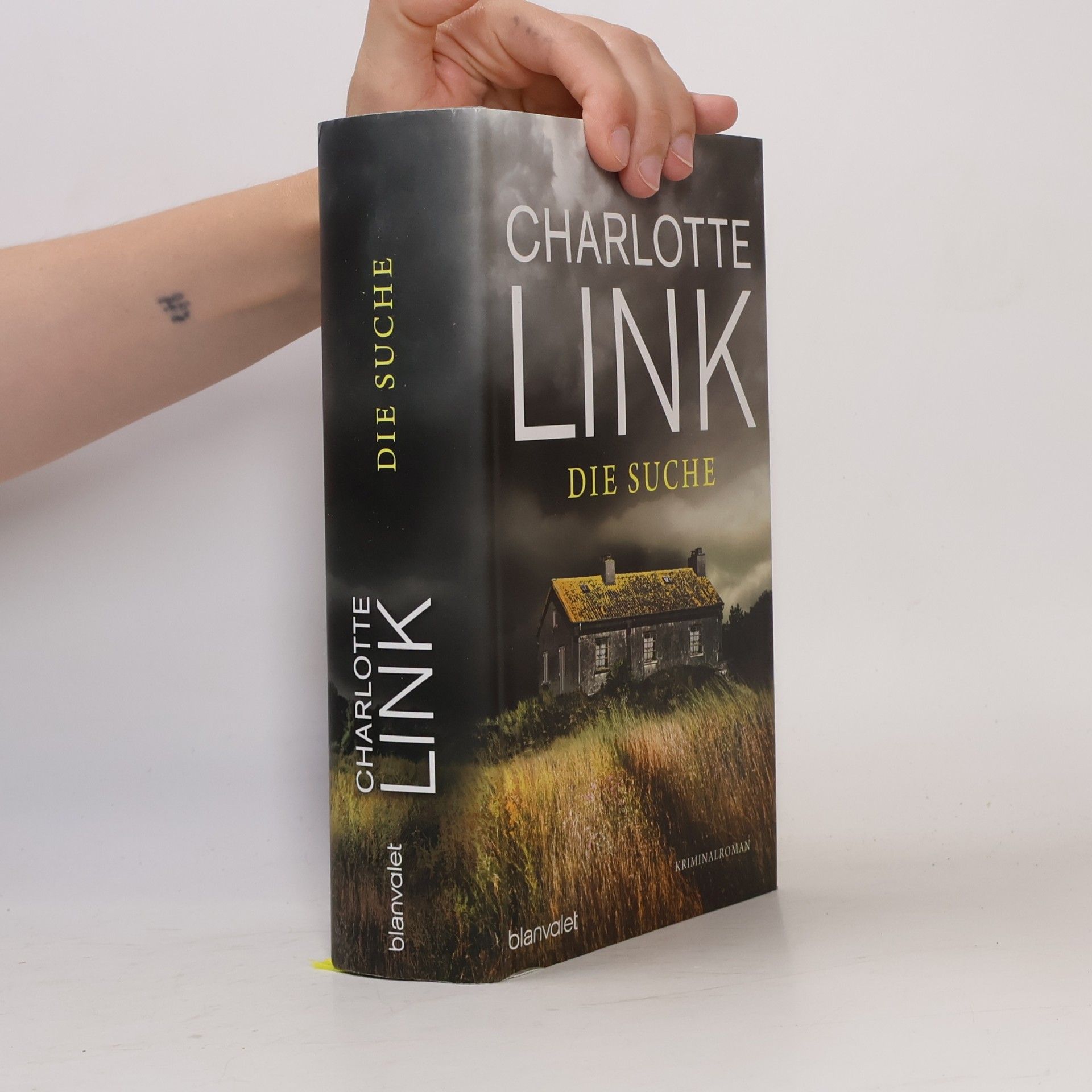 Charlotte Link Die Suche