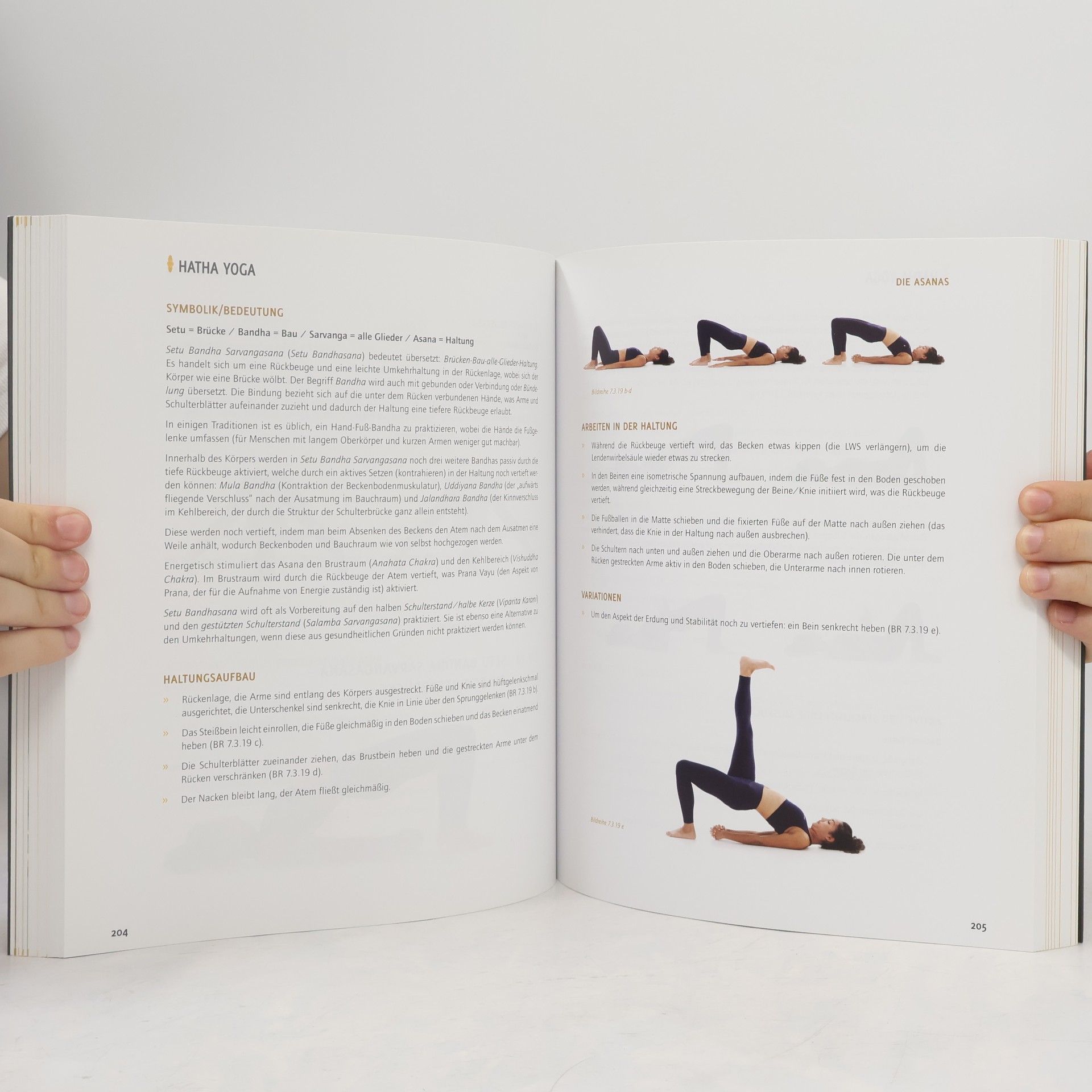 Martina Mittag Hatha Yoga