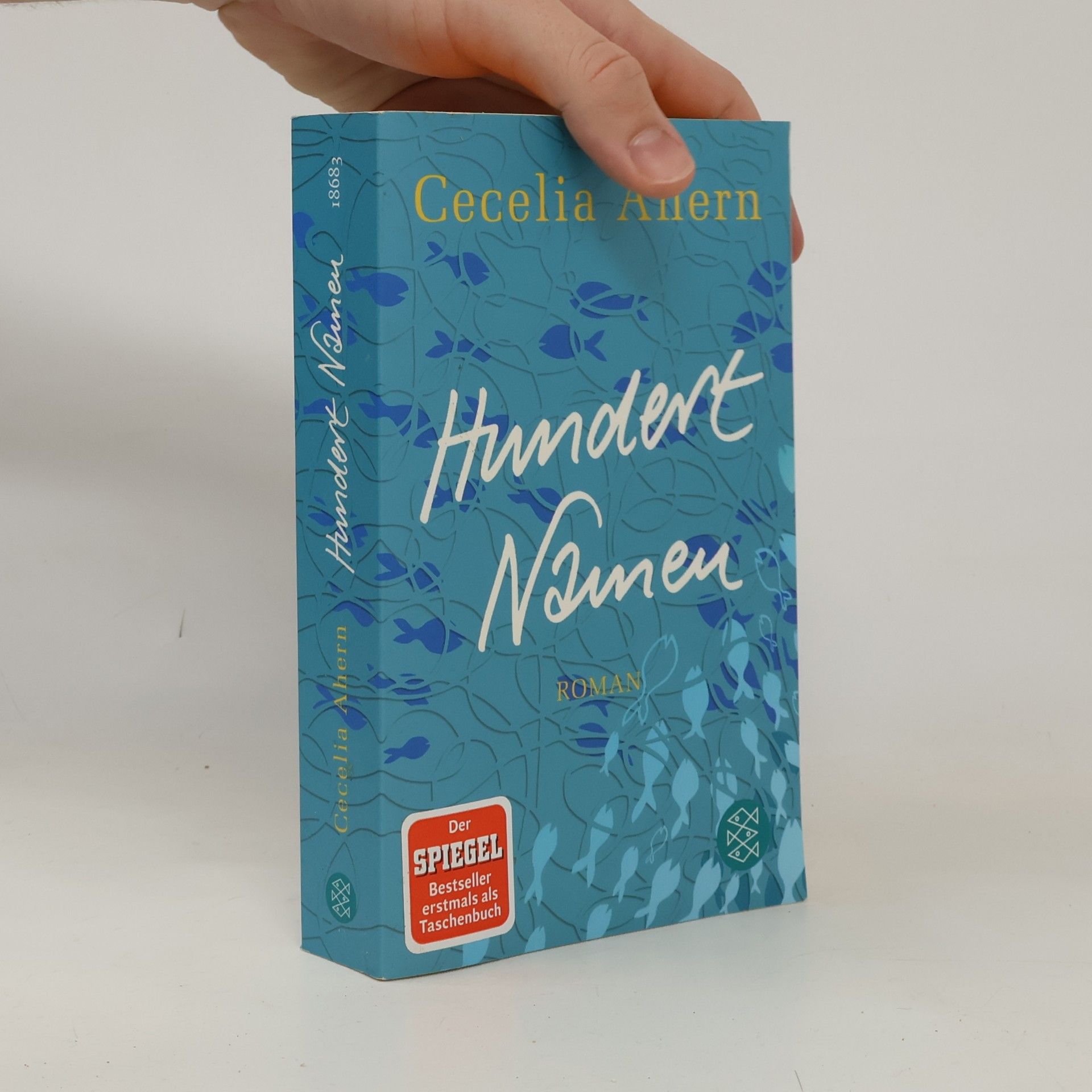 Cecelia Ahern Hundert Namen