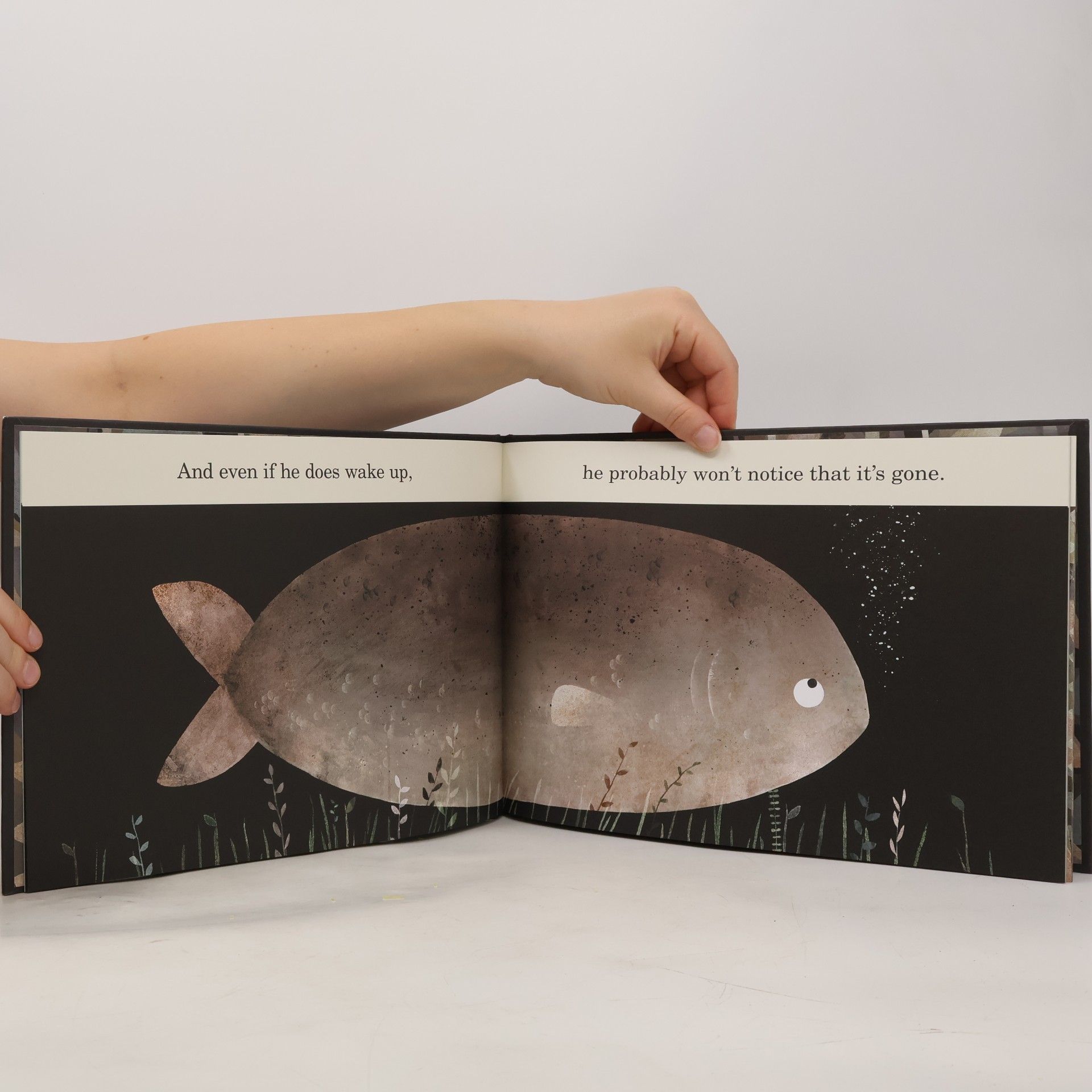 Jon Klassen This is Not My Hat