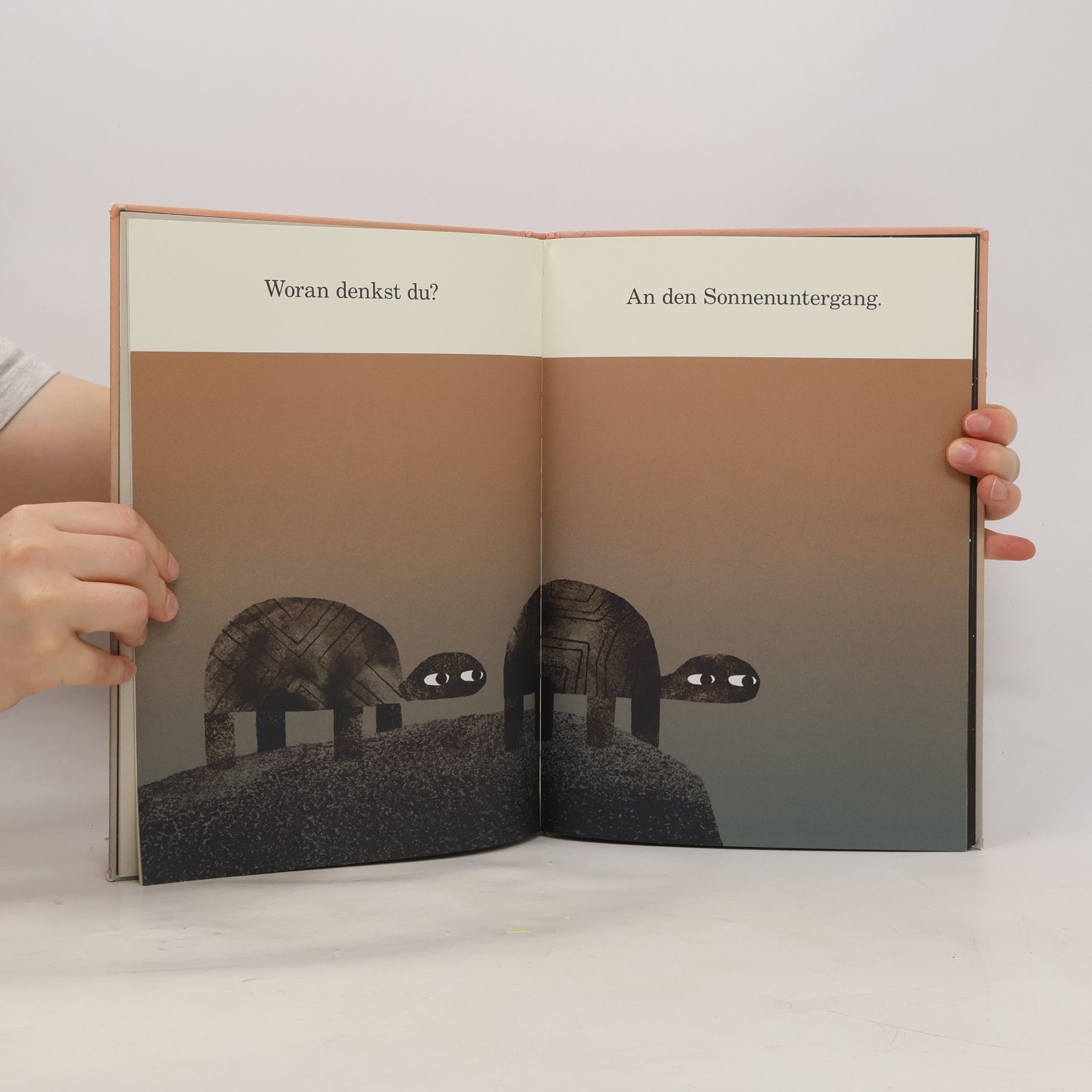 Jon Klassen Wir haben einen Hut