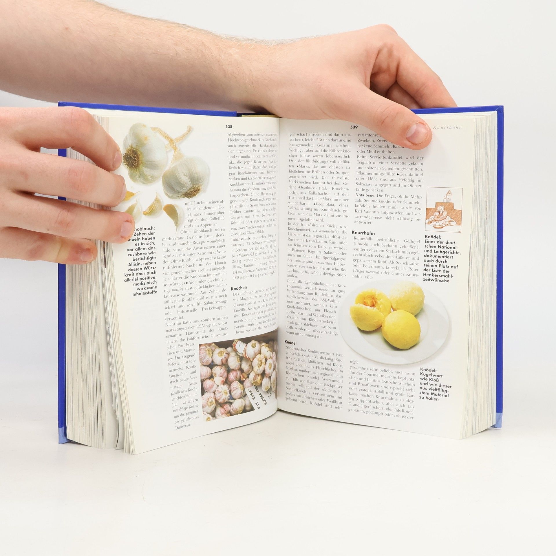 Udo Pini Das Gourmet-Handbuch