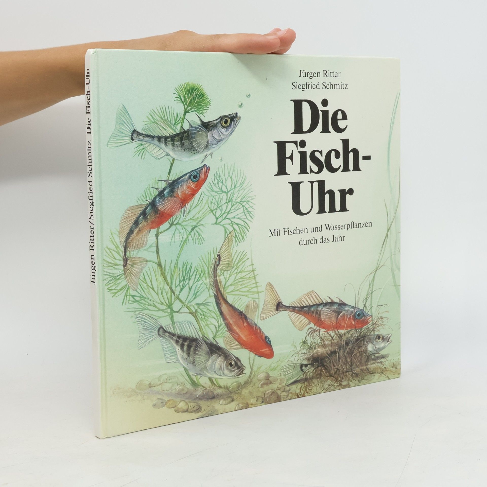 Die Fisch-Uhr