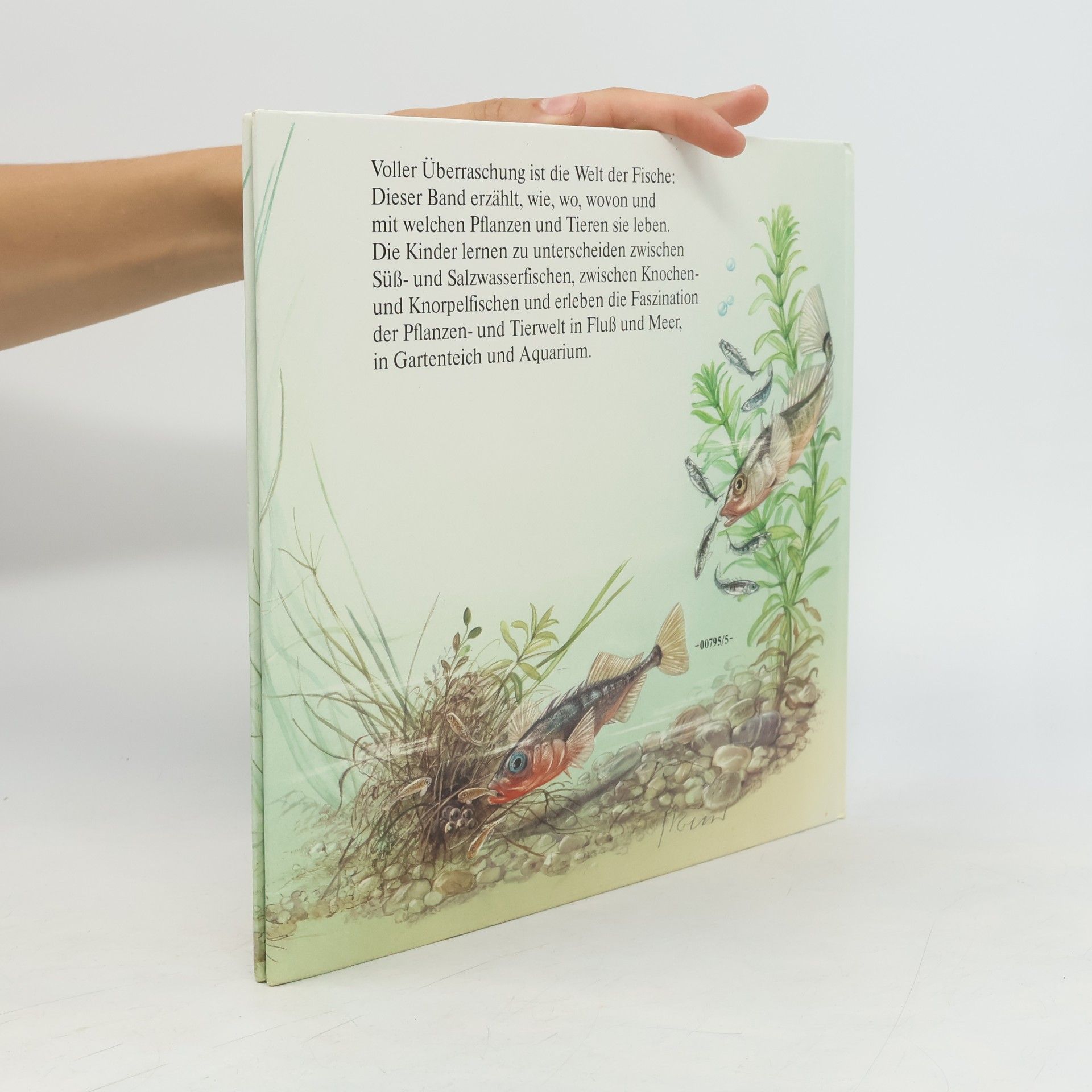 Jürgen Ritter Die Fisch-Uhr