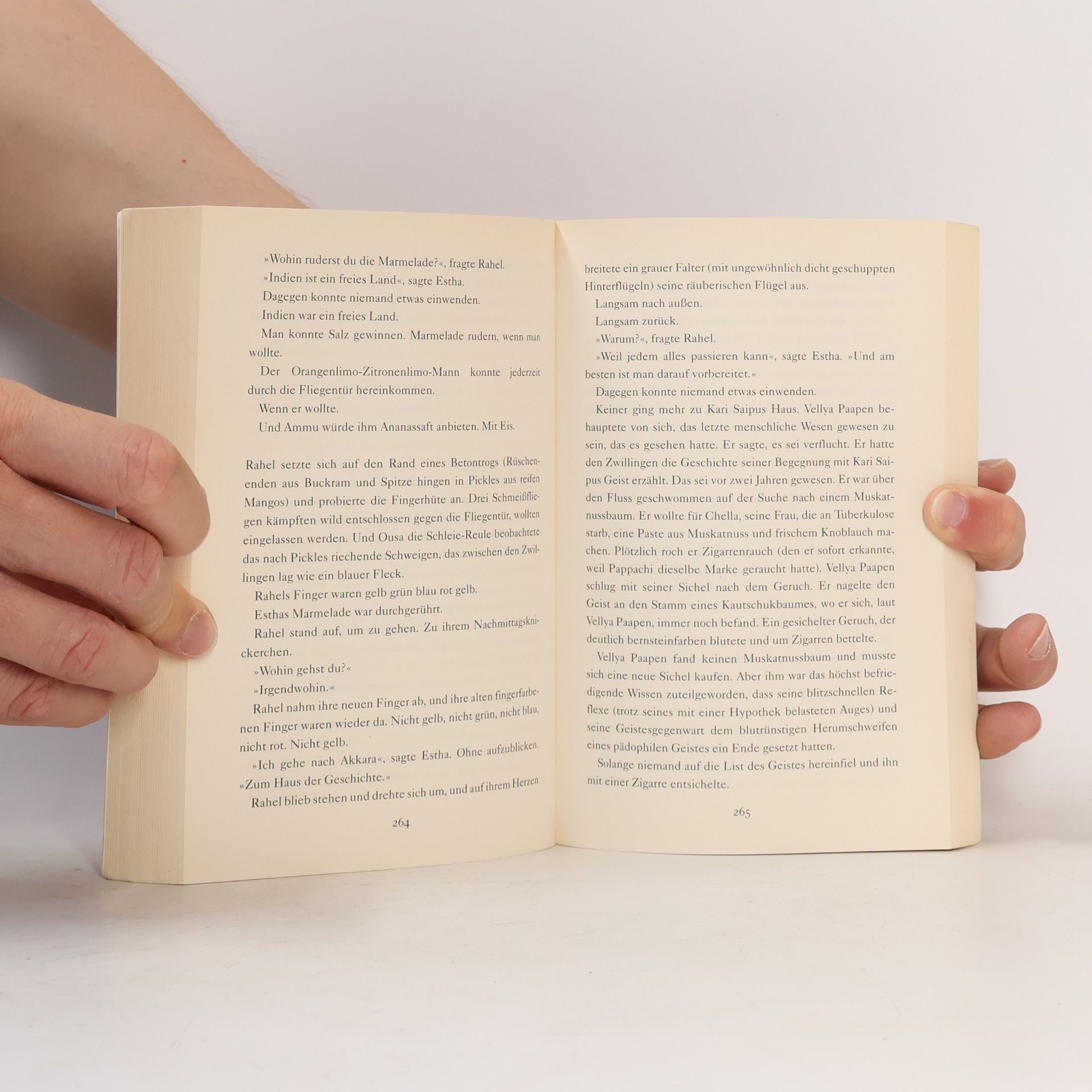 Arundhati Roy Der Gott der kleinen Dinge