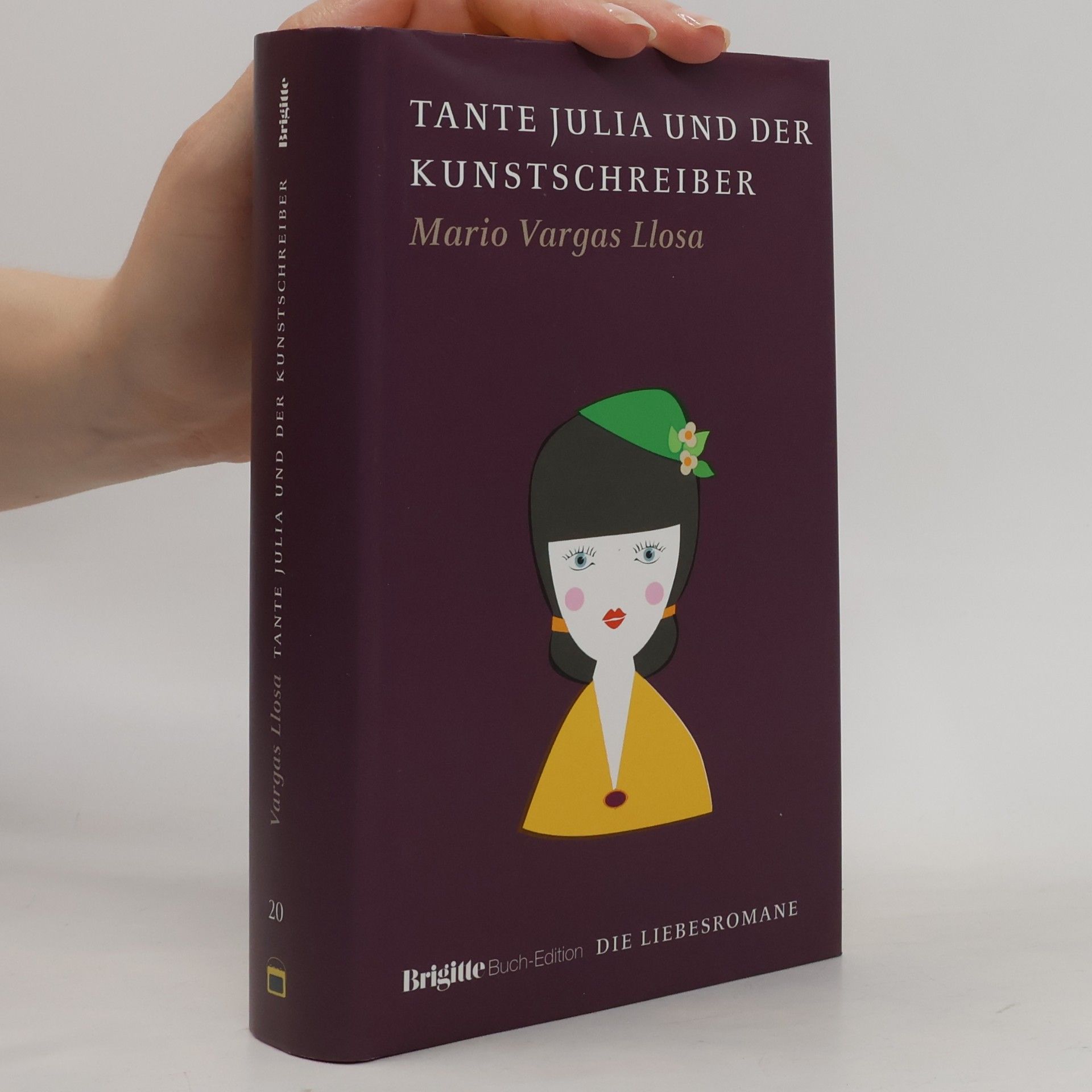 Mario Vargas Llosa Tante Julia und der Kunstschreiber