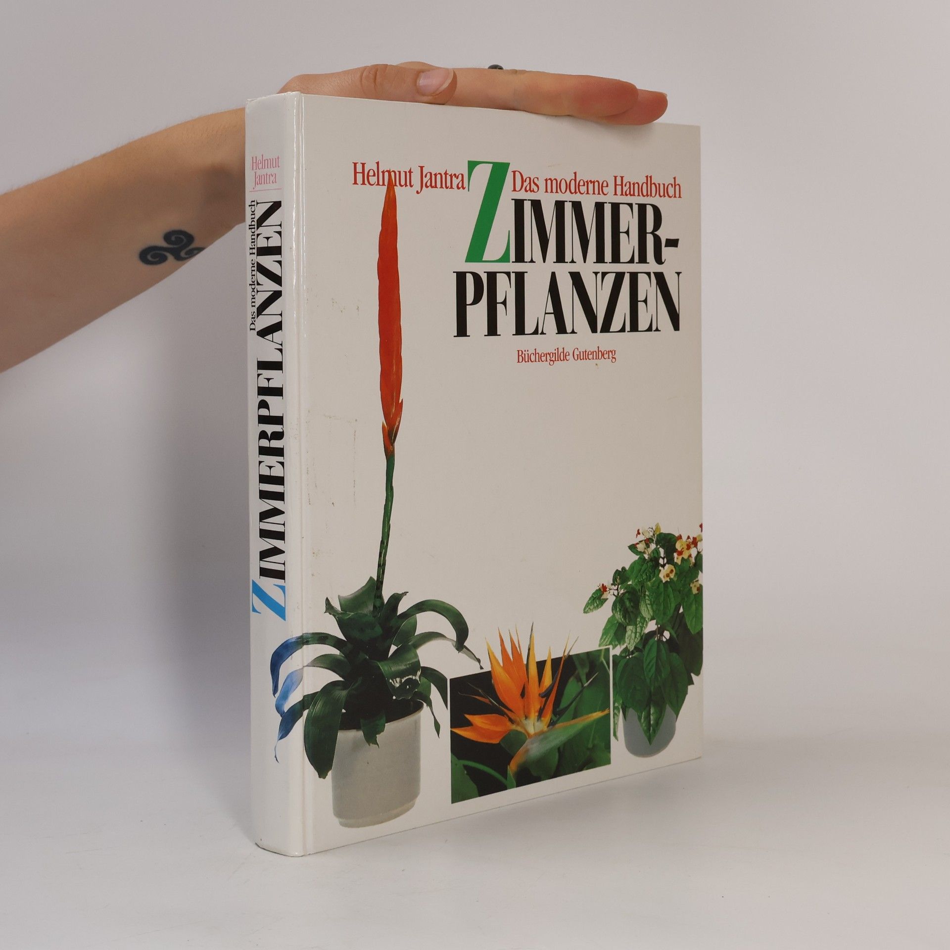Helmut Jantra Das moderne Handbuch Zimmerpflanzen
