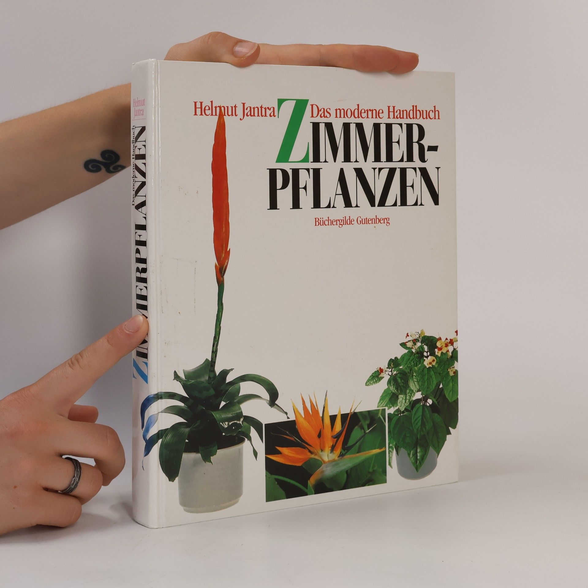 Helmut Jantra Das moderne Handbuch Zimmerpflanzen