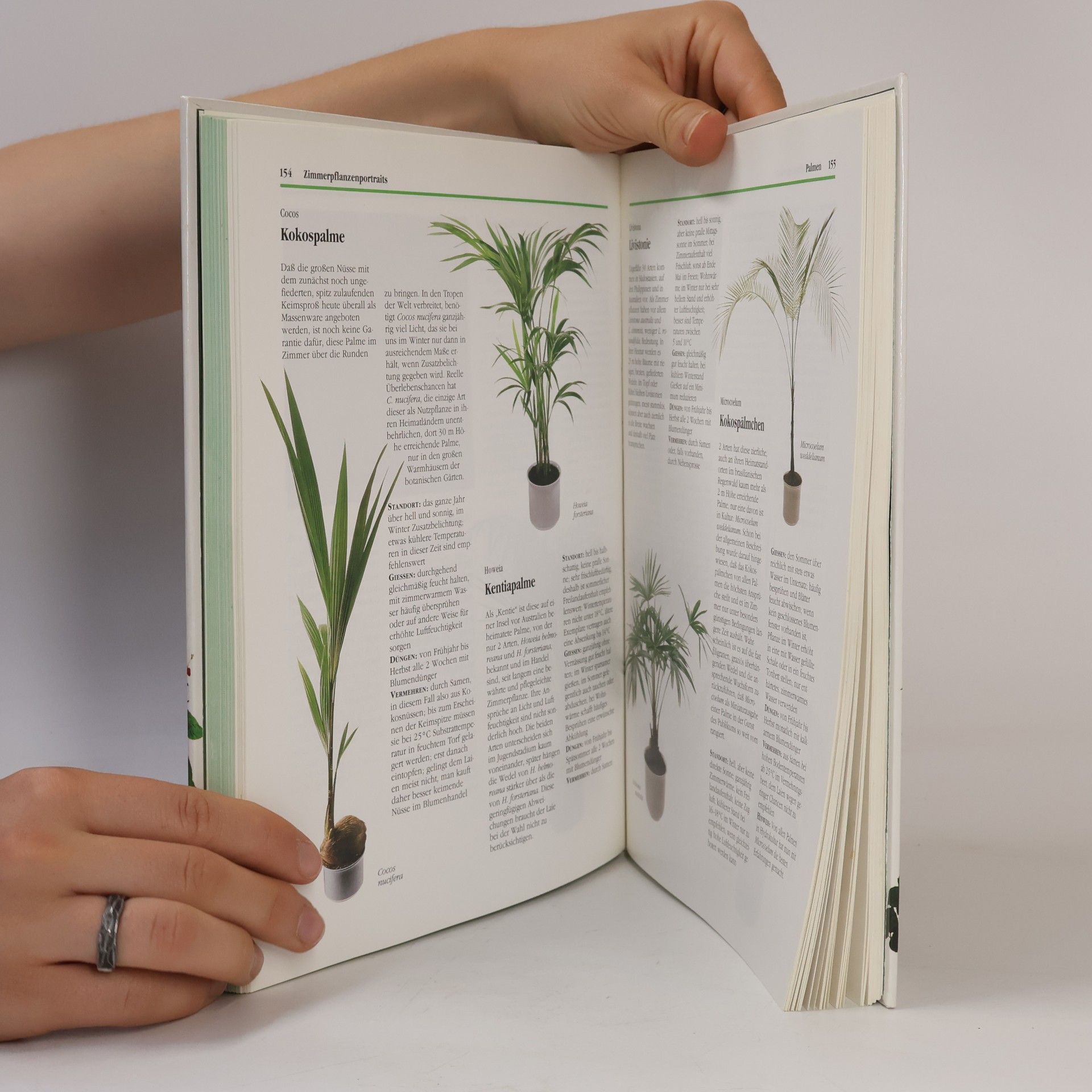 Helmut Jantra Das moderne Handbuch Zimmerpflanzen