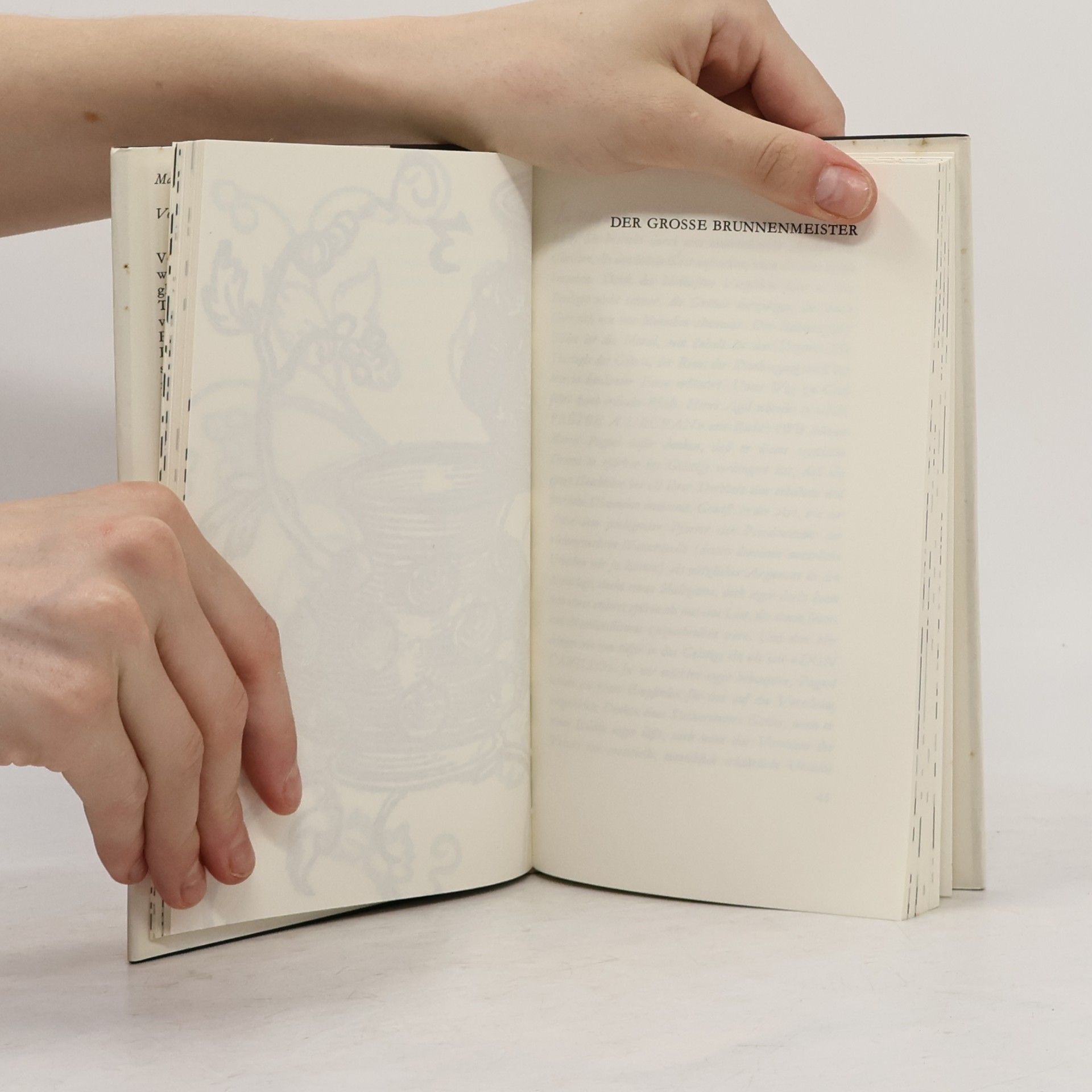 Marcel Pagnol Vom lieben Gott, der aus dem Weinberg kam