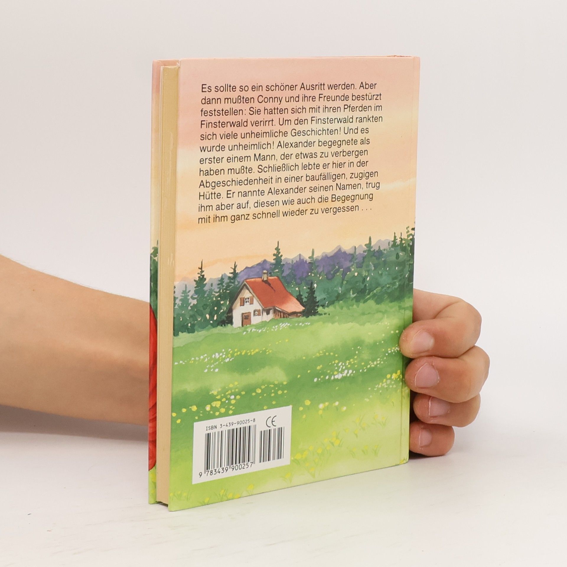 Autorenkollektiv Conny, der Schatz vom Finsterwald