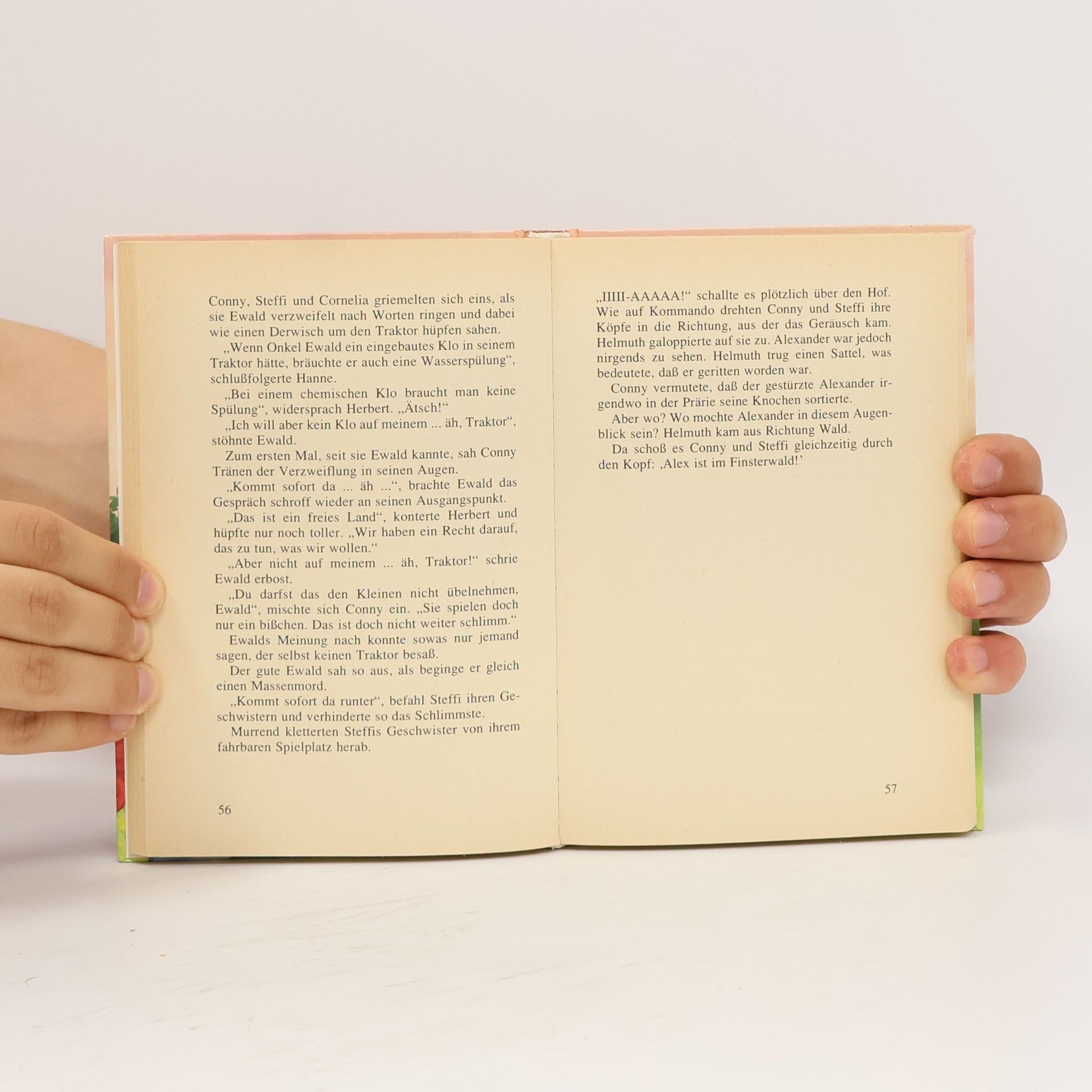 Autorenkollektiv Conny, der Schatz vom Finsterwald