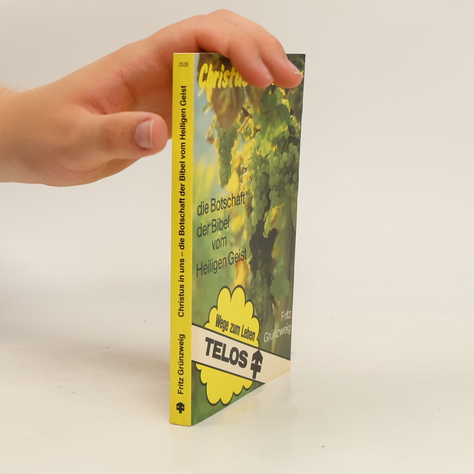 Christus in uns - Die Botschaft der Bibel vom Heiligen Geist