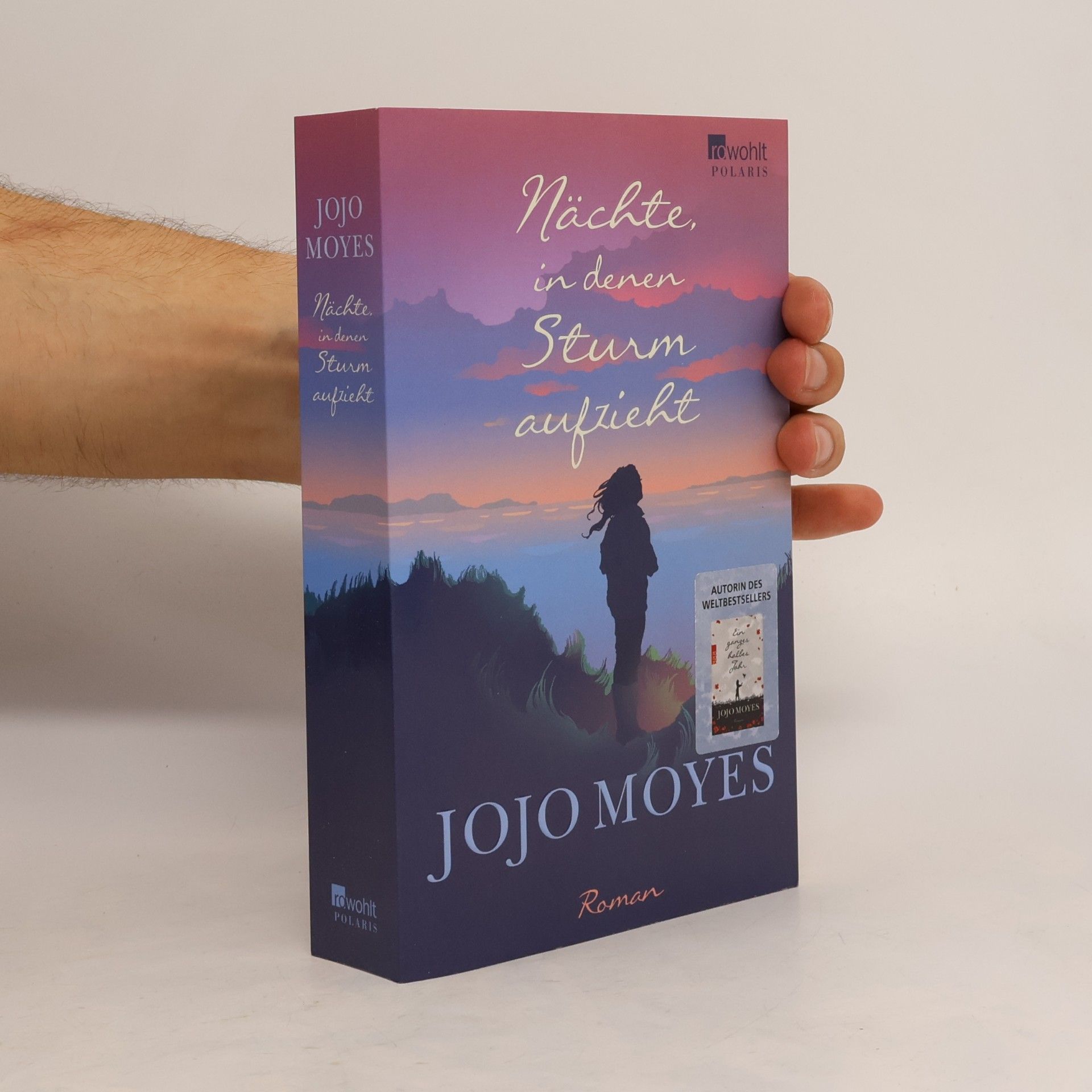 Jojo Moyesová Nächte in denen Sturm aufzieht
