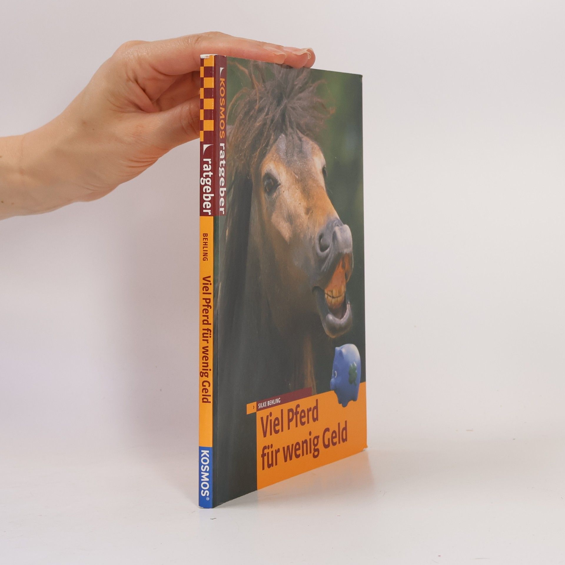 Viel Pferd für wenig Geld