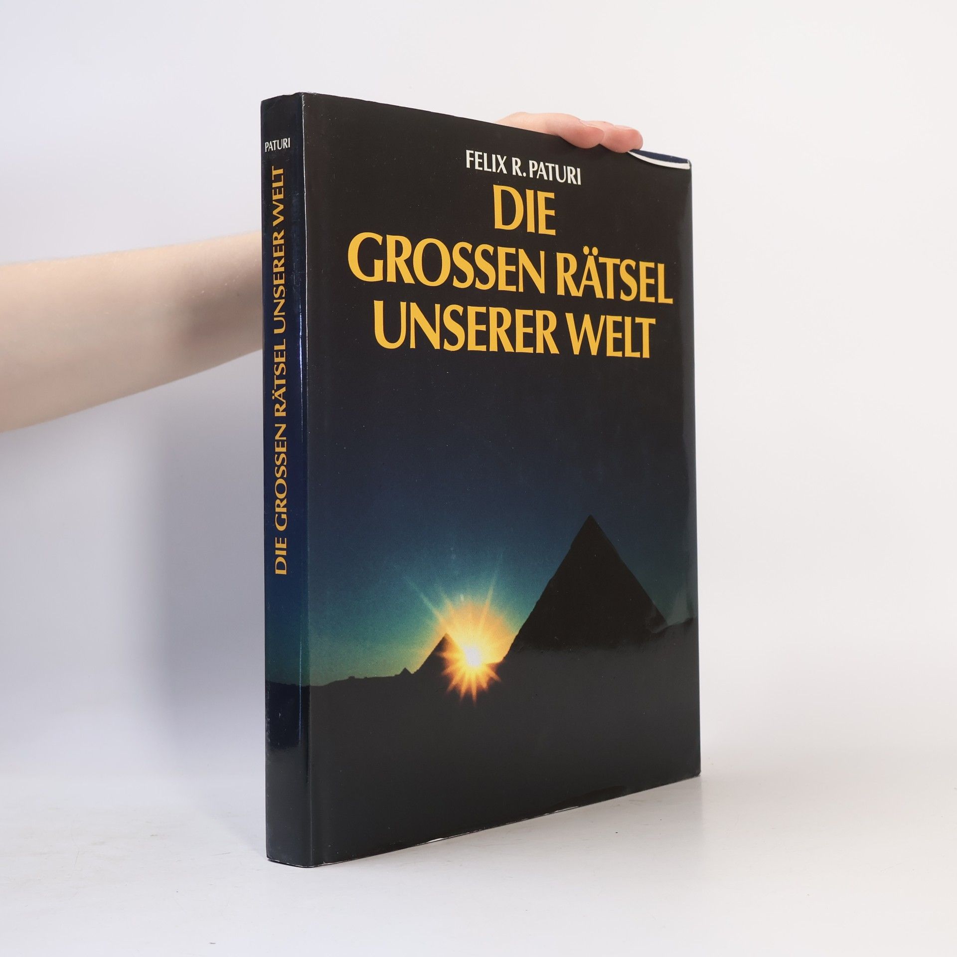Die grossen Rätsel unserer Welt