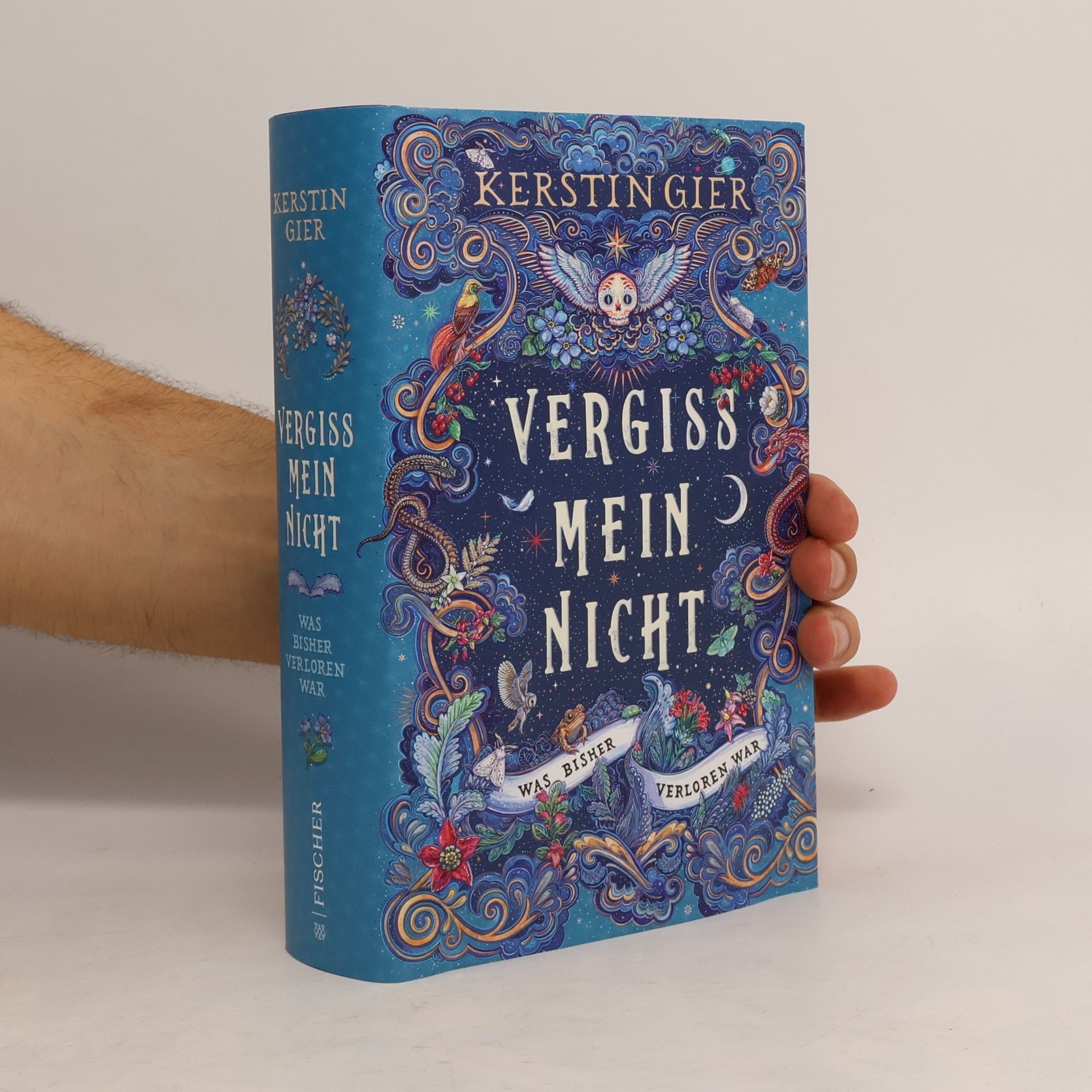 Kerstin Gier Vergissmeinnicht - Was bisher verloren war