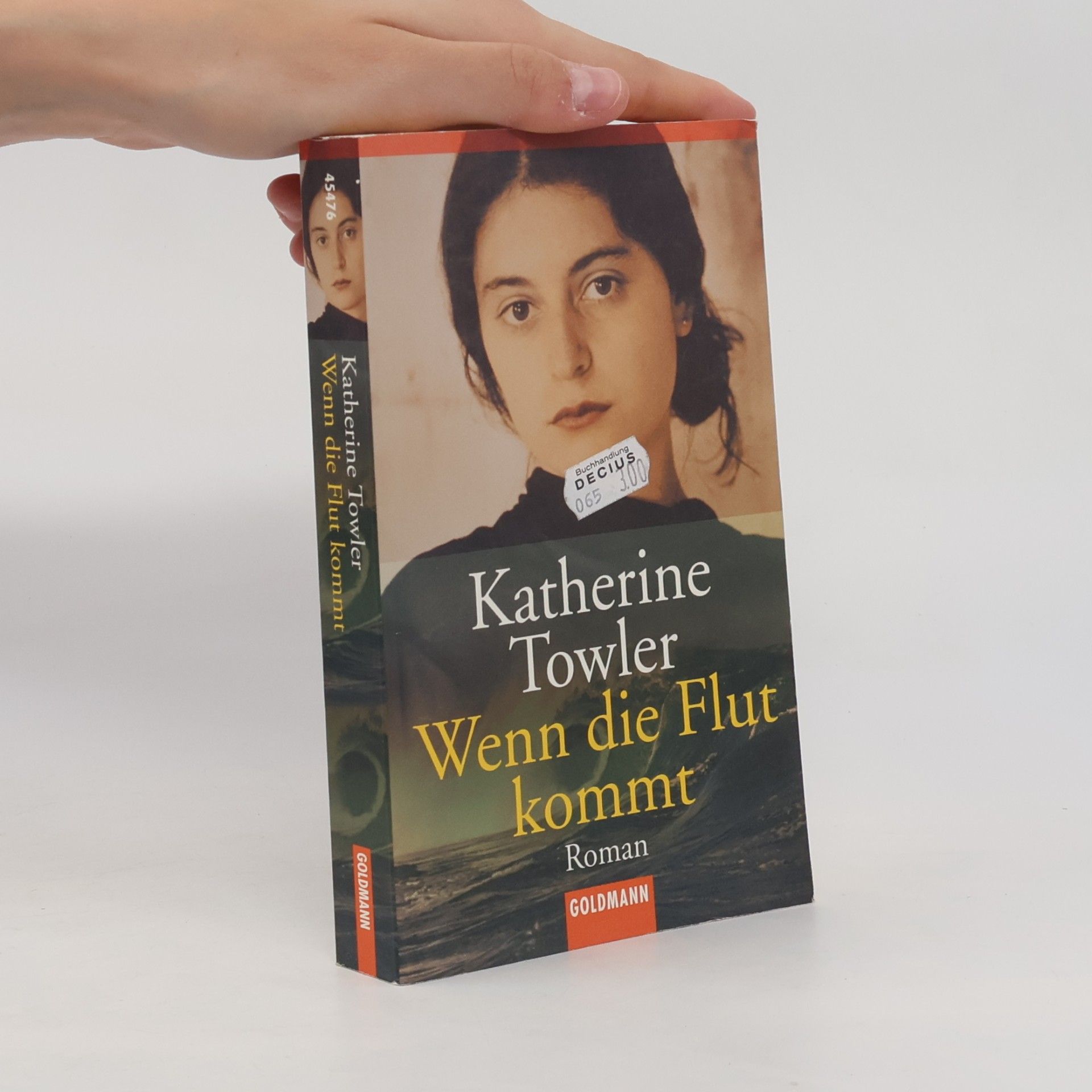Katherine Towler Wenn die Flut kommt