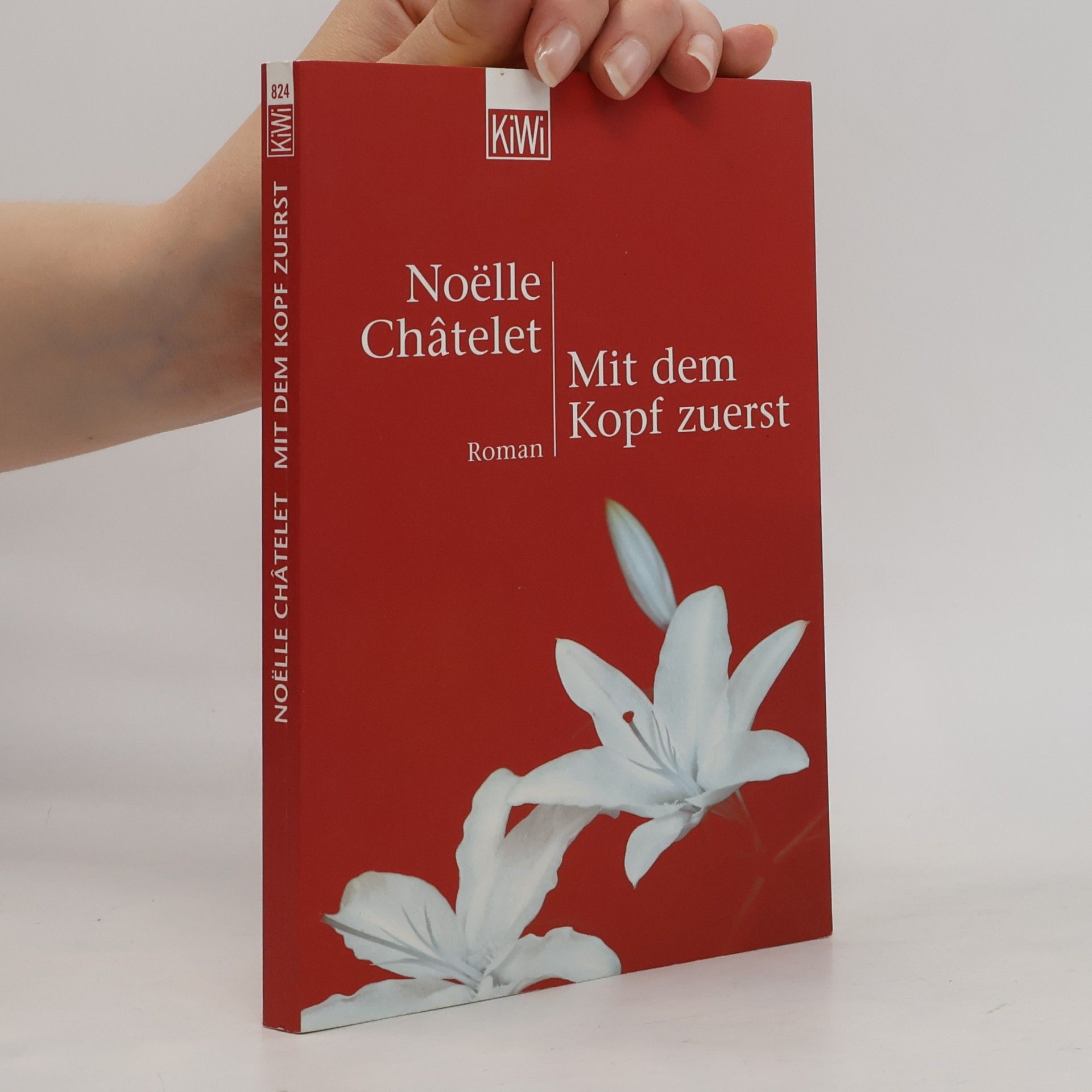 Noëlle Châtelet Mit dem Kopf zuerst