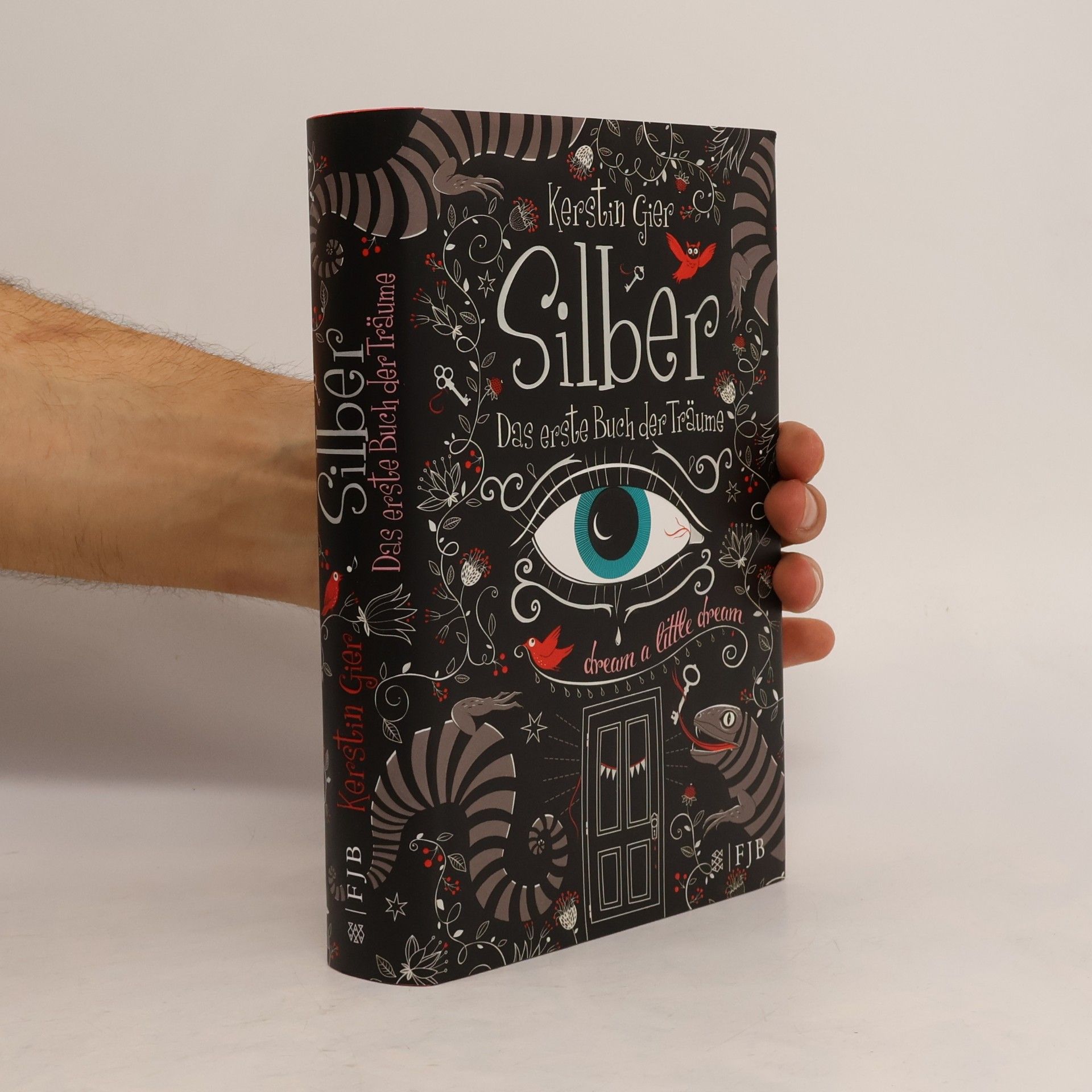 Kerstin Gier Silber. Das erste Buch der Träume