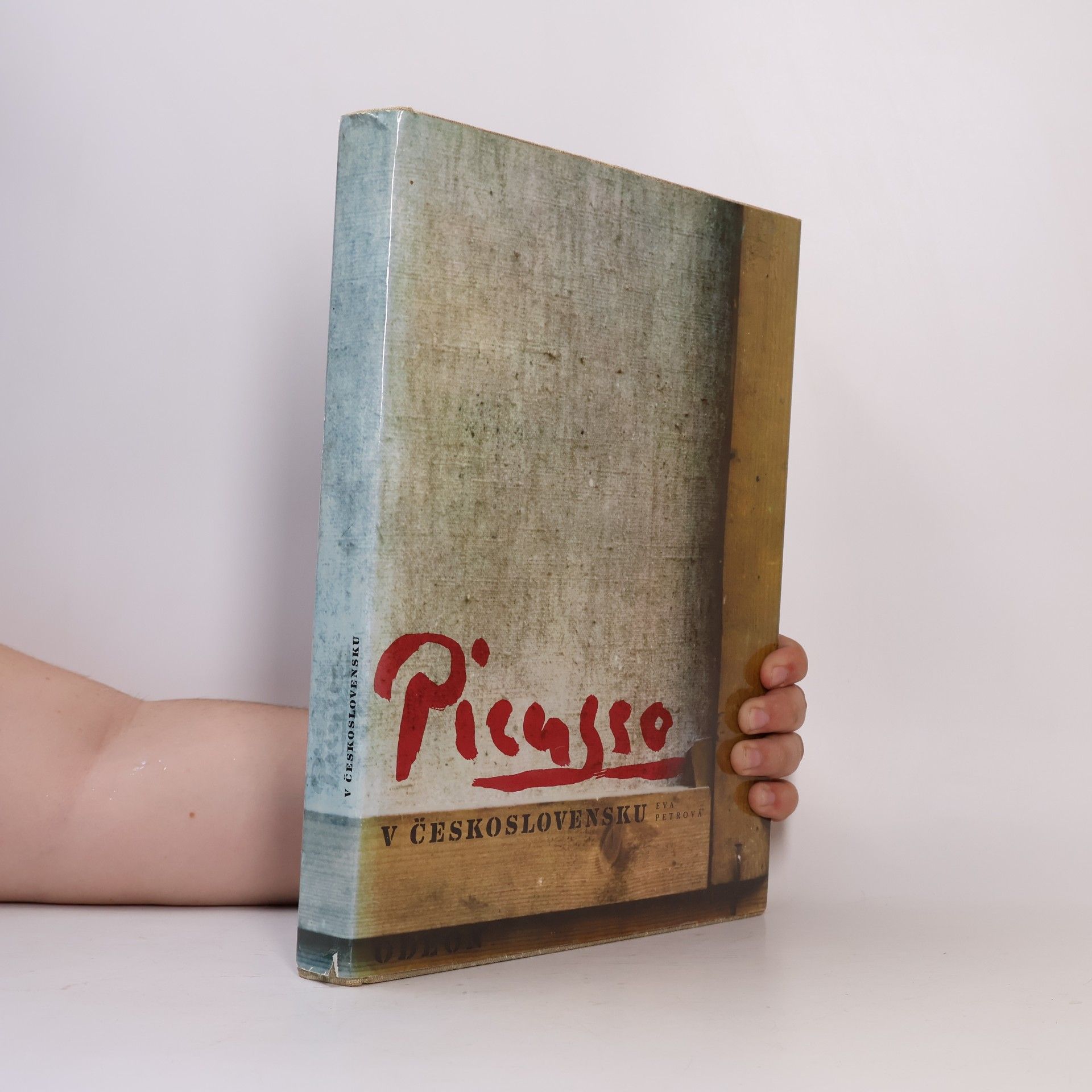 Eva Petrová Picasso v Československu