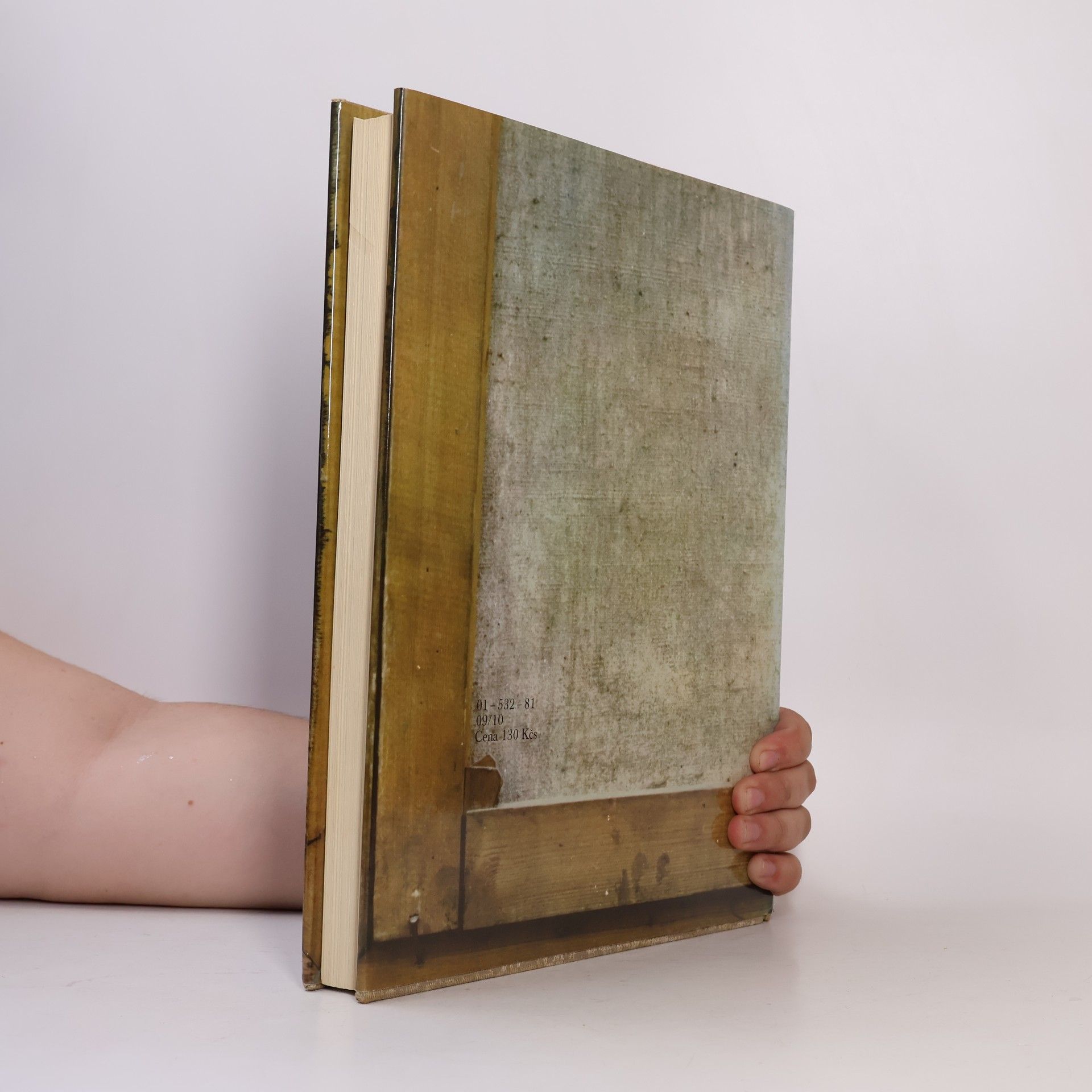 Eva Petrová Picasso v Československu