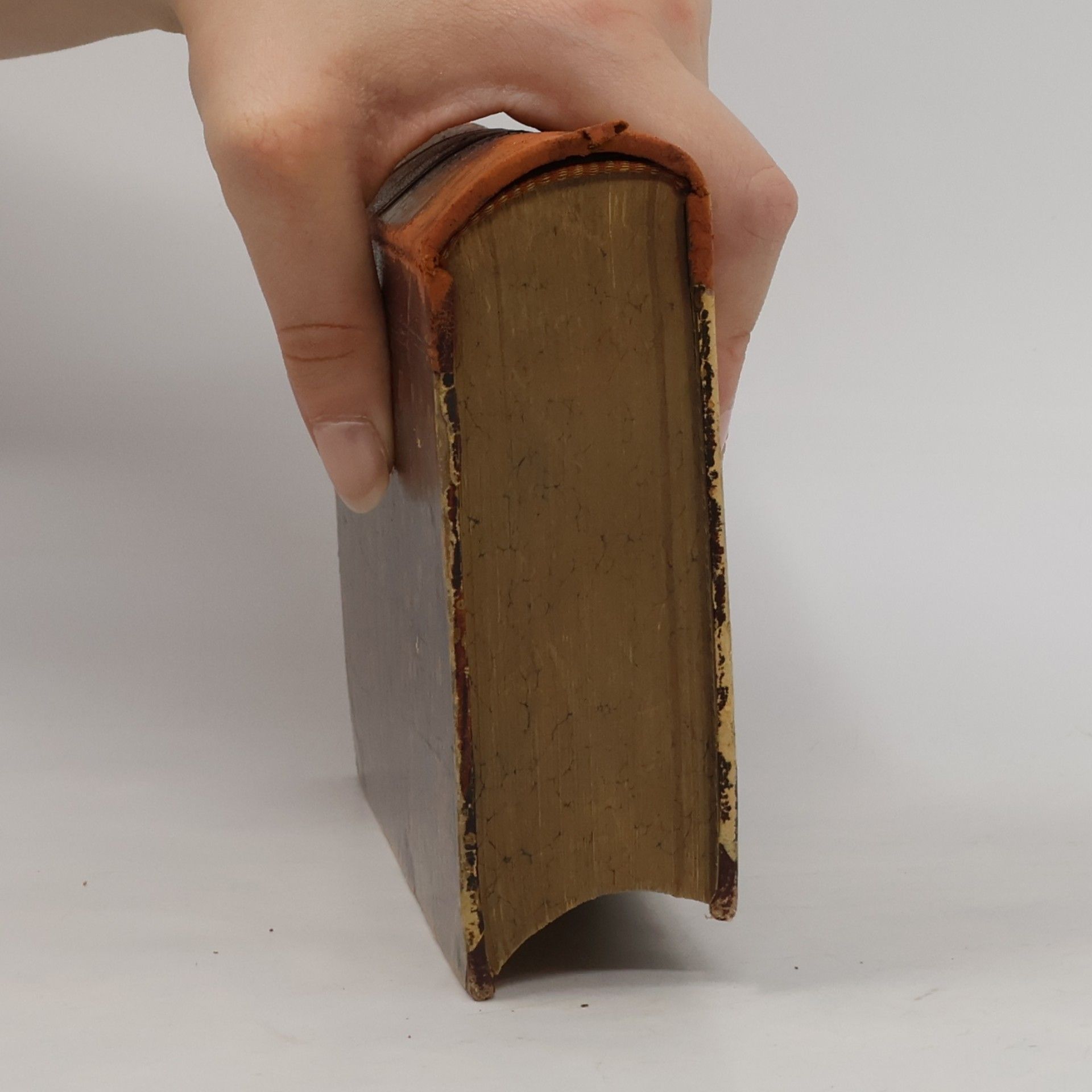 Heinrich von Kleist Sämtliche Werke 1.