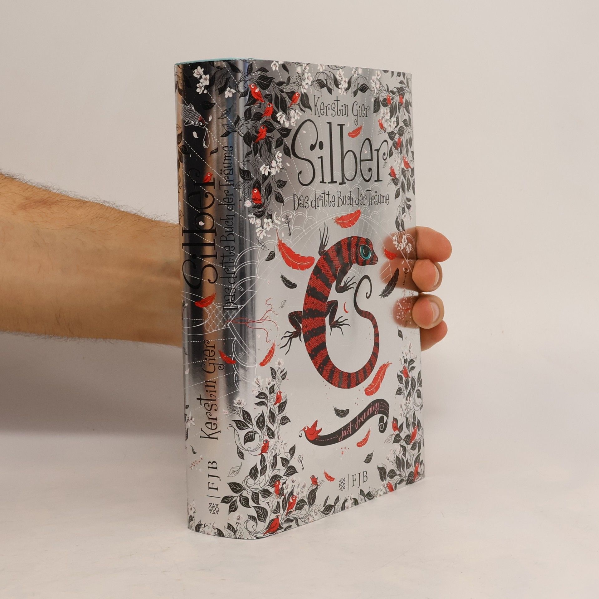 Kerstin Gier Silber. Das dritte Buch der Träume
