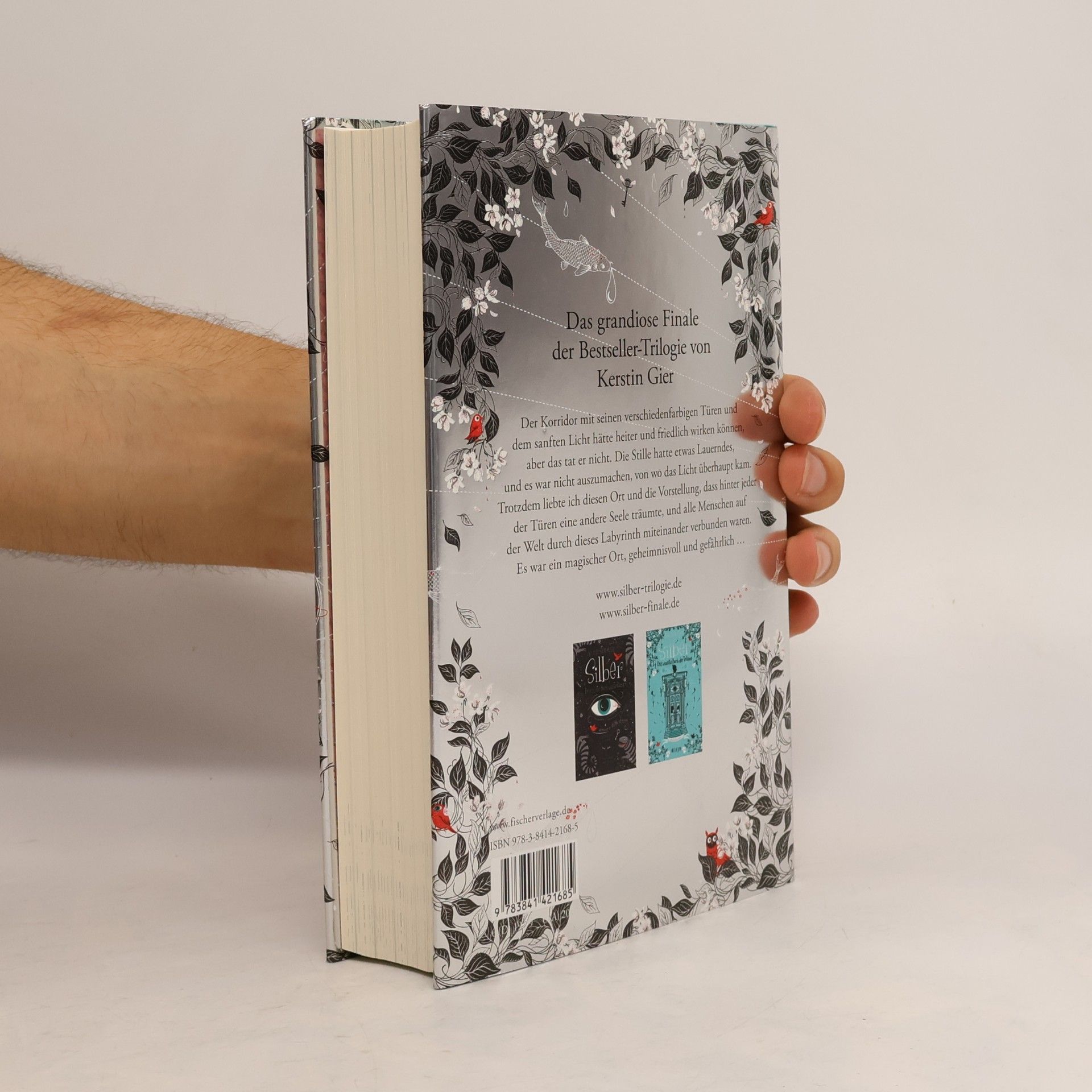 Kerstin Gier Silber. Das dritte Buch der Träume