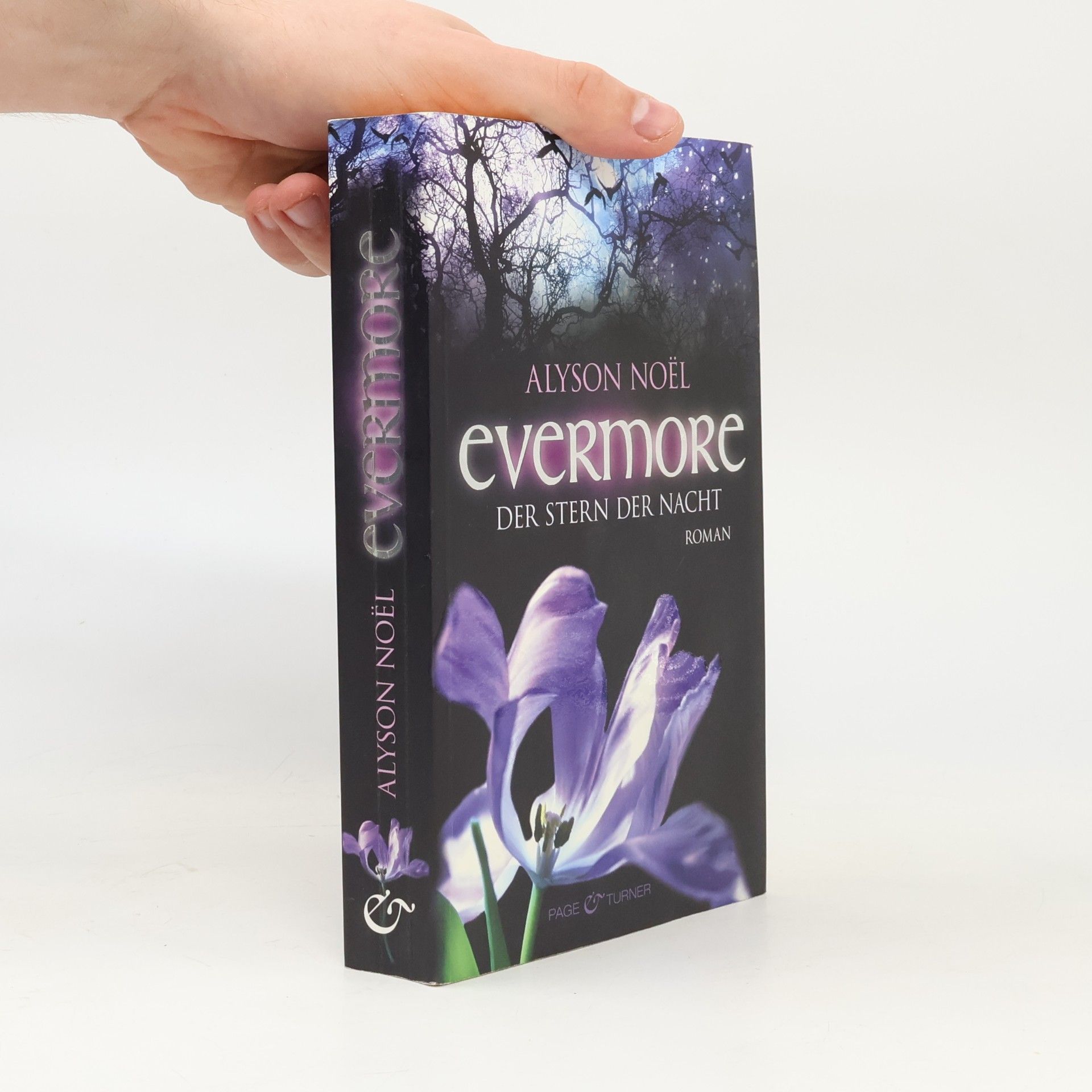 Alyson Noël Evermore: Der Stern der Nacht