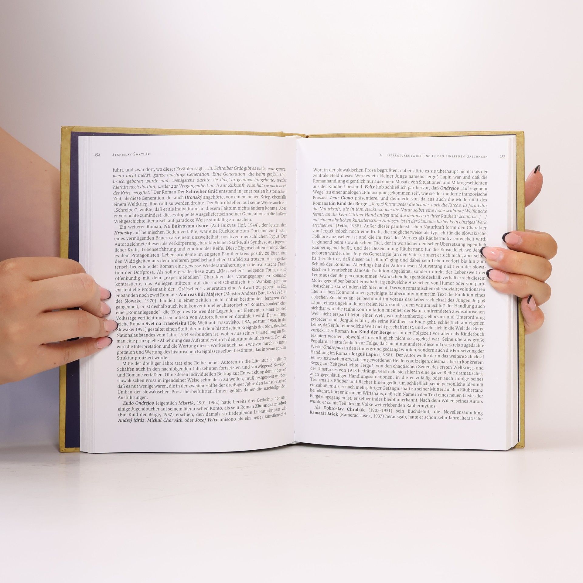 Stanislav Šmatlák Geschichte der slowakischen Literatur und ihrer Rezeption im deutschen Sprachraum