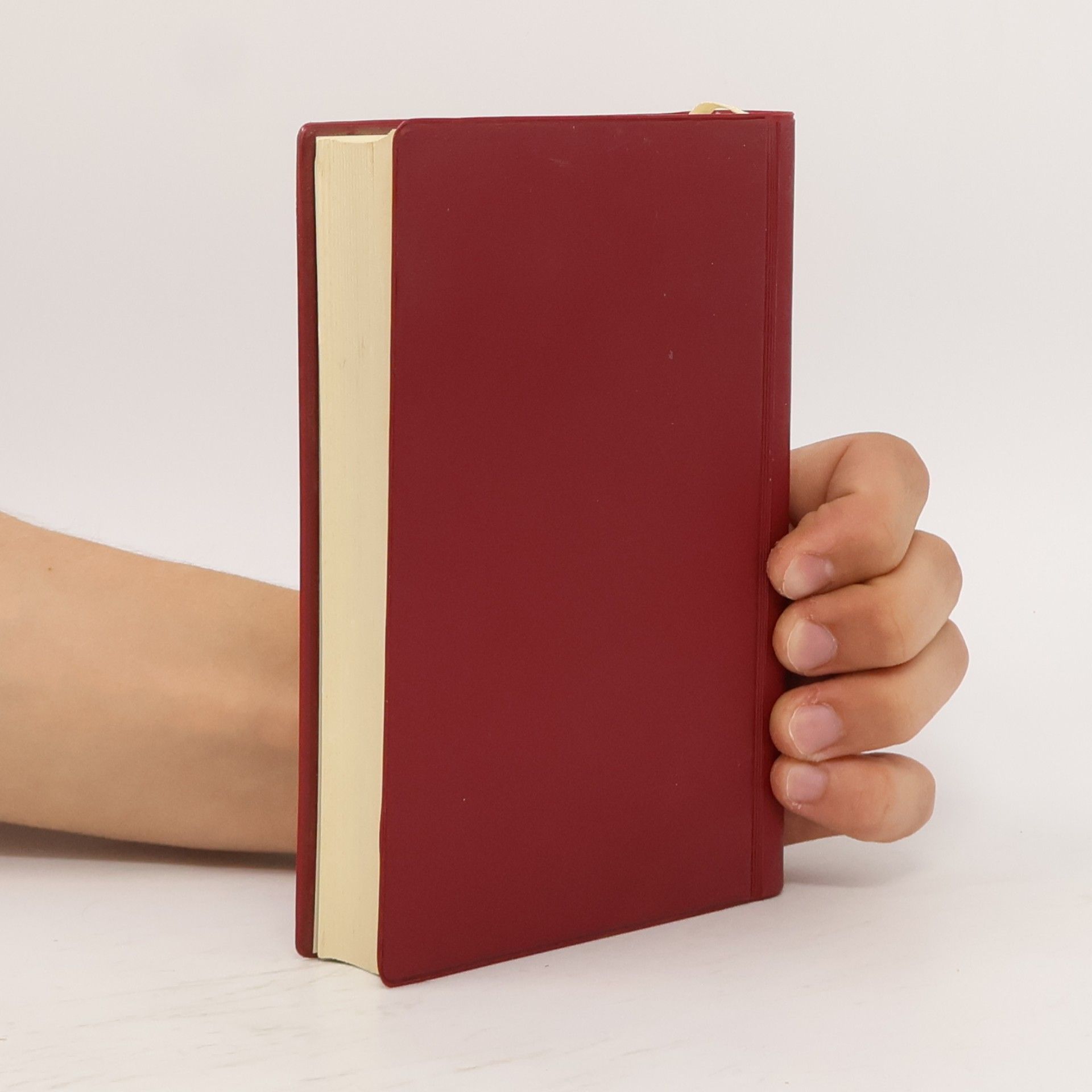 Autorenkollektiv Das Neue Testament