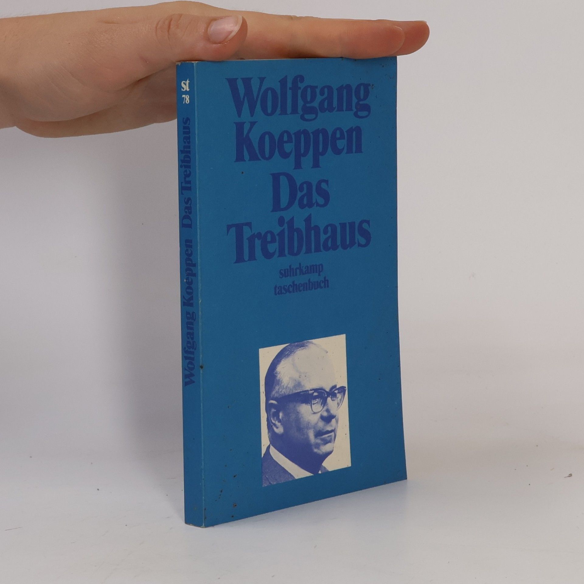 Wolfgang Koeppen Das Treibhaus
