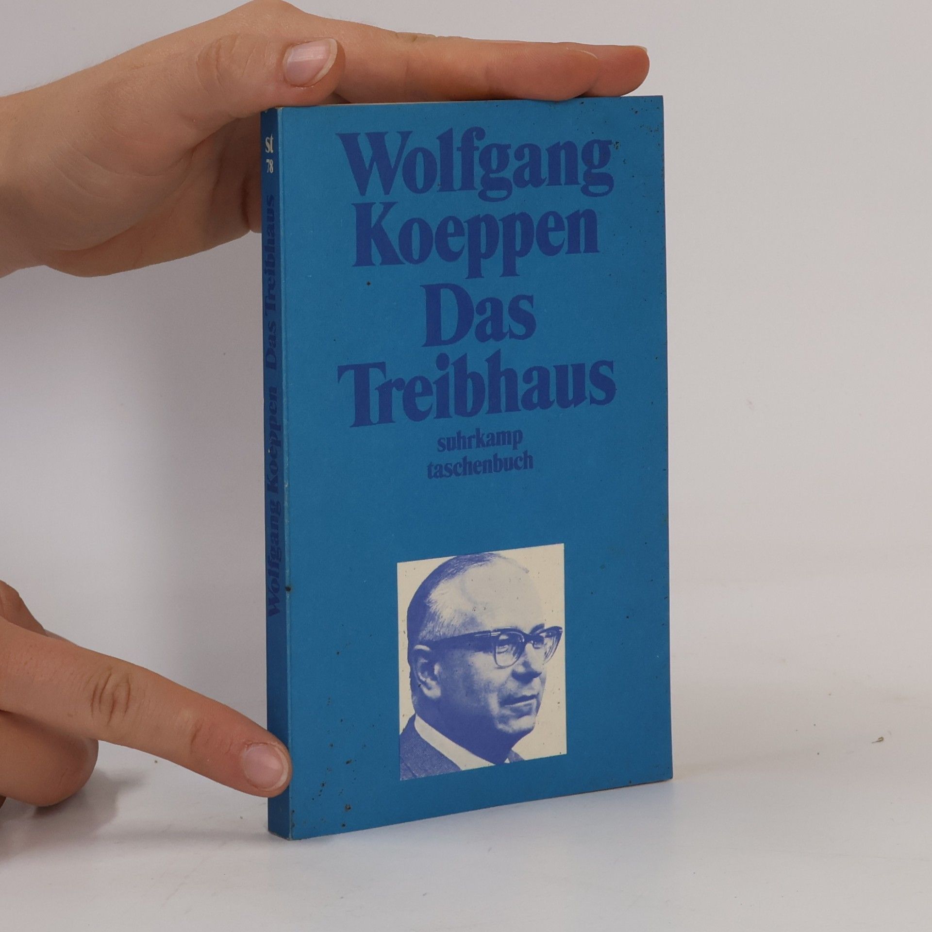 Wolfgang Koeppen Das Treibhaus