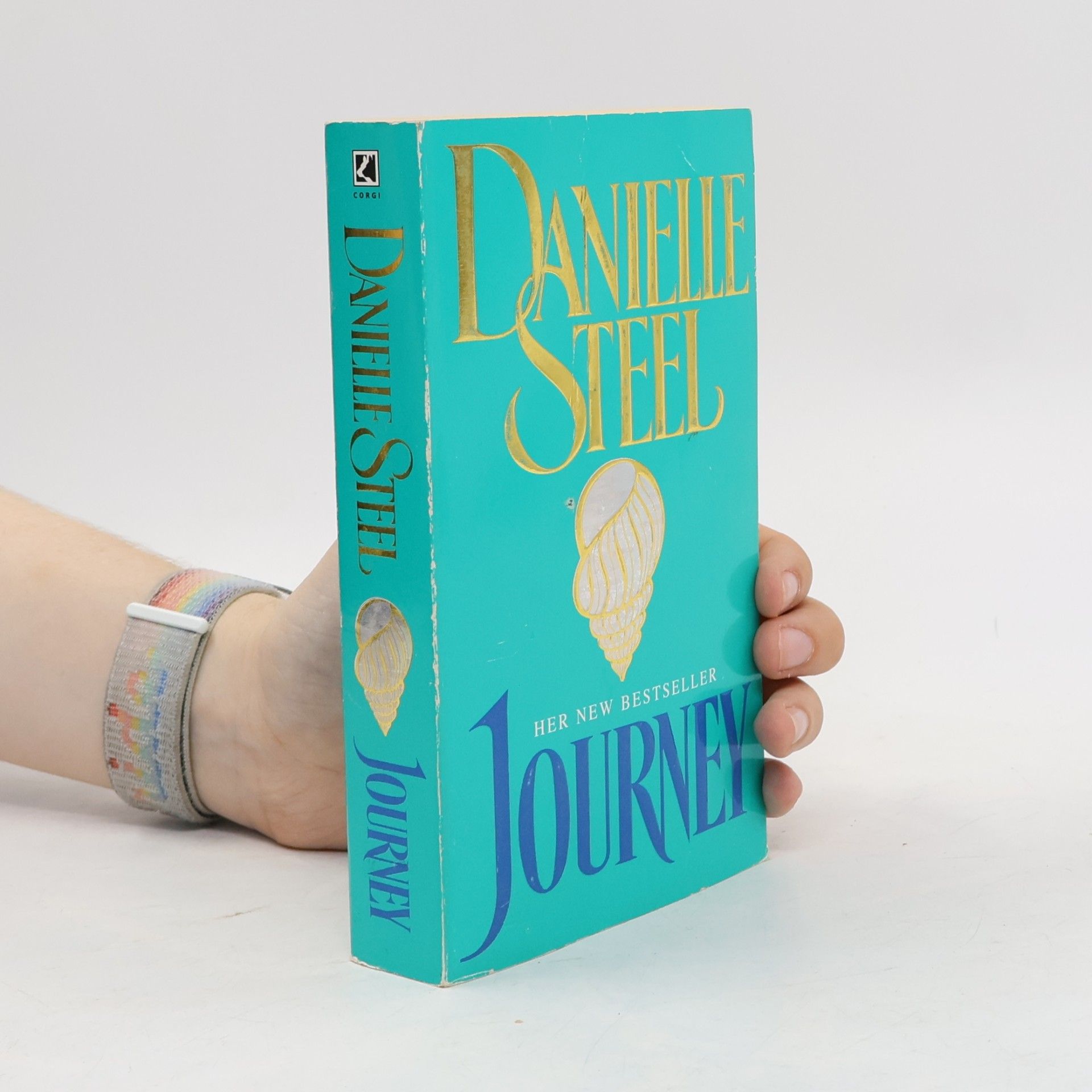 Danielle Steel Journey