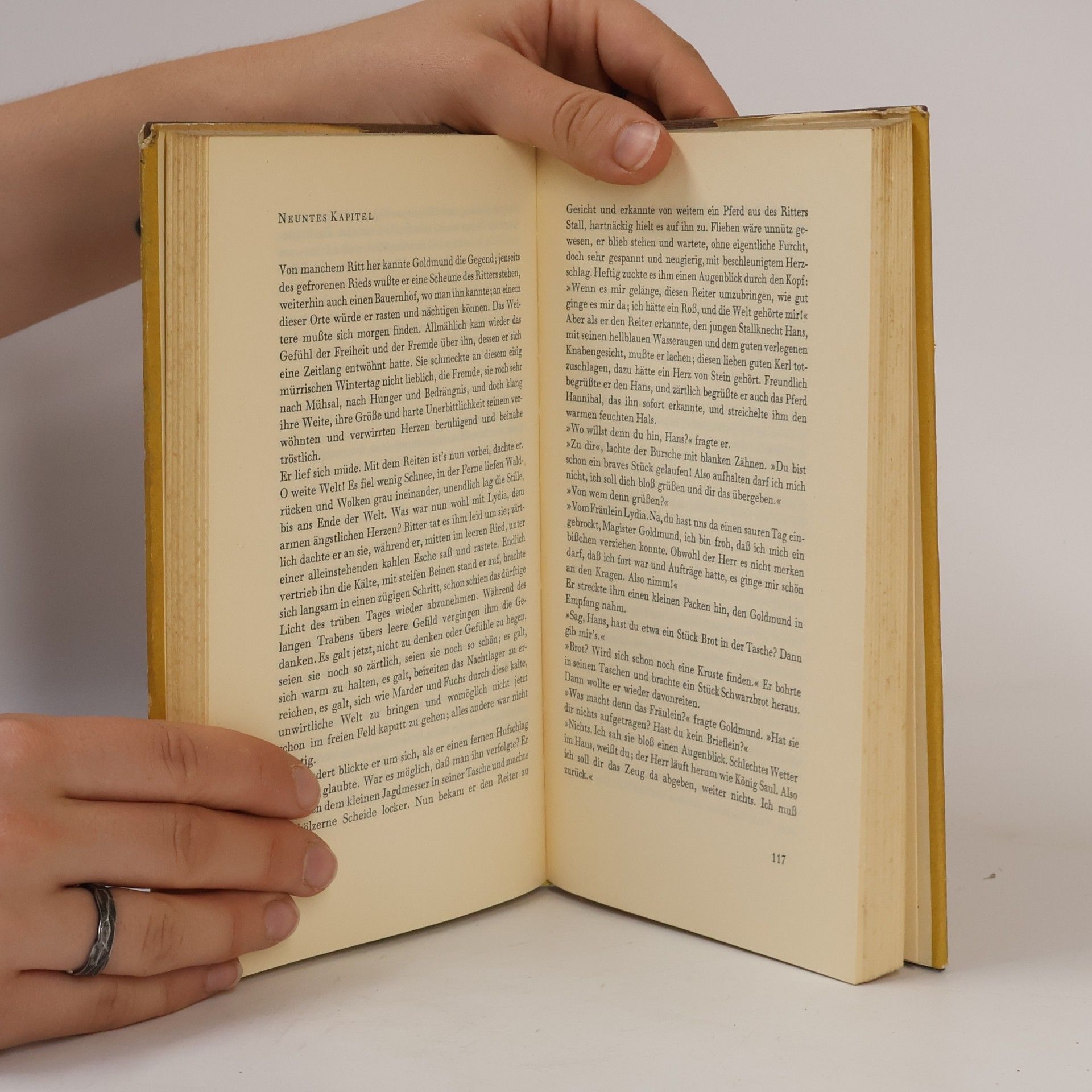 Hermann Hesse Narziß und Goldmund