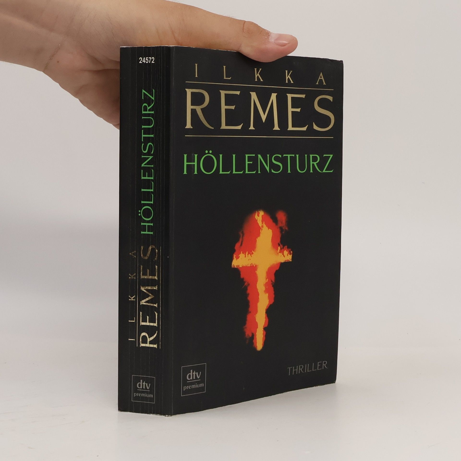 Ilkka Remes Höllensturz