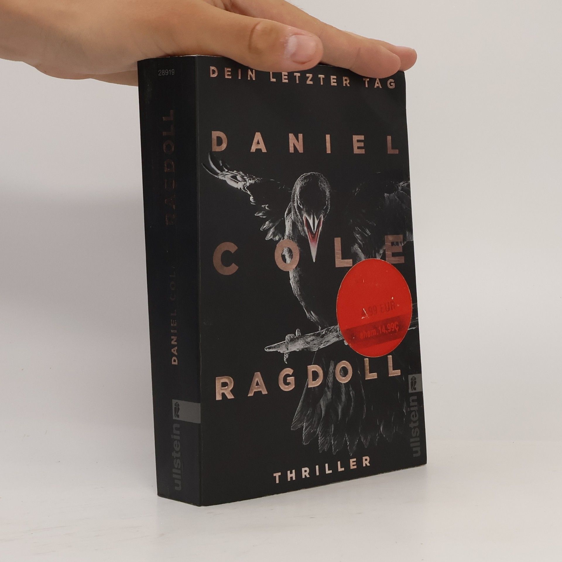 Daniel Cole Ragdoll