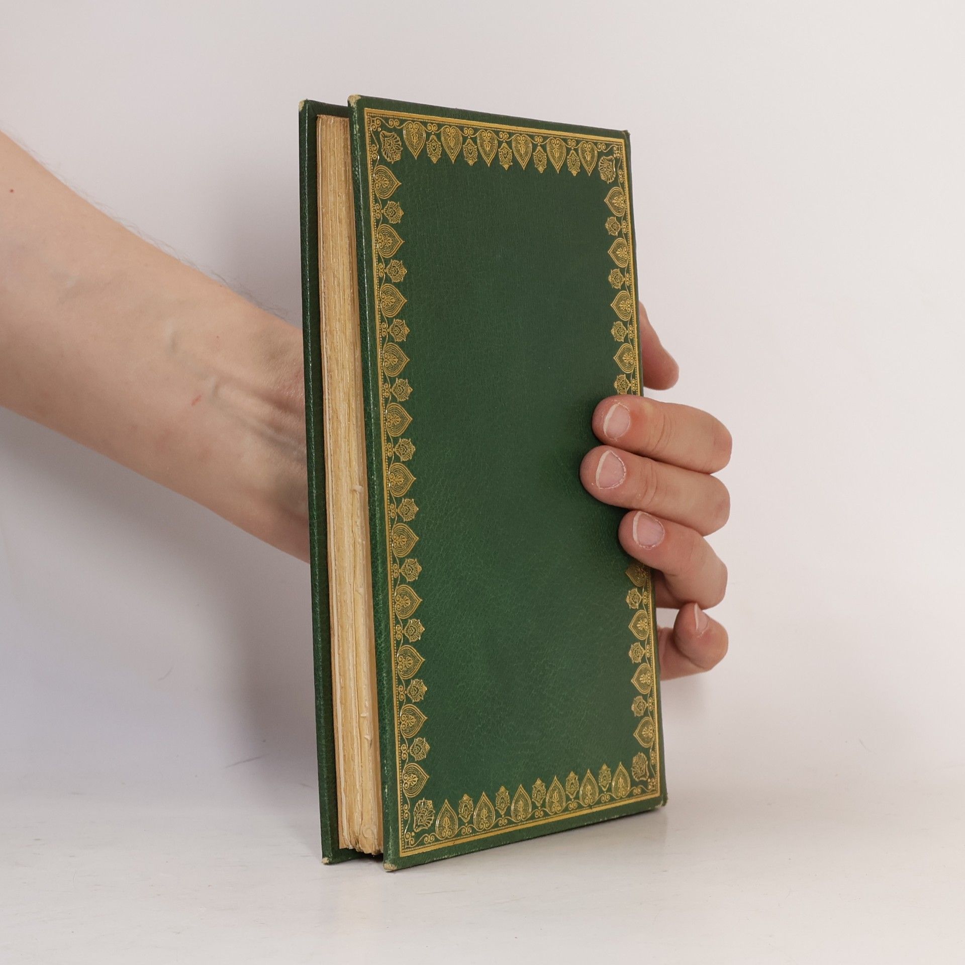 Dzalaleddin Balchi Rúmí Mesnevi oder Doppelverse des Scheich Mewlānā Dschelāl ed dín Rūmi