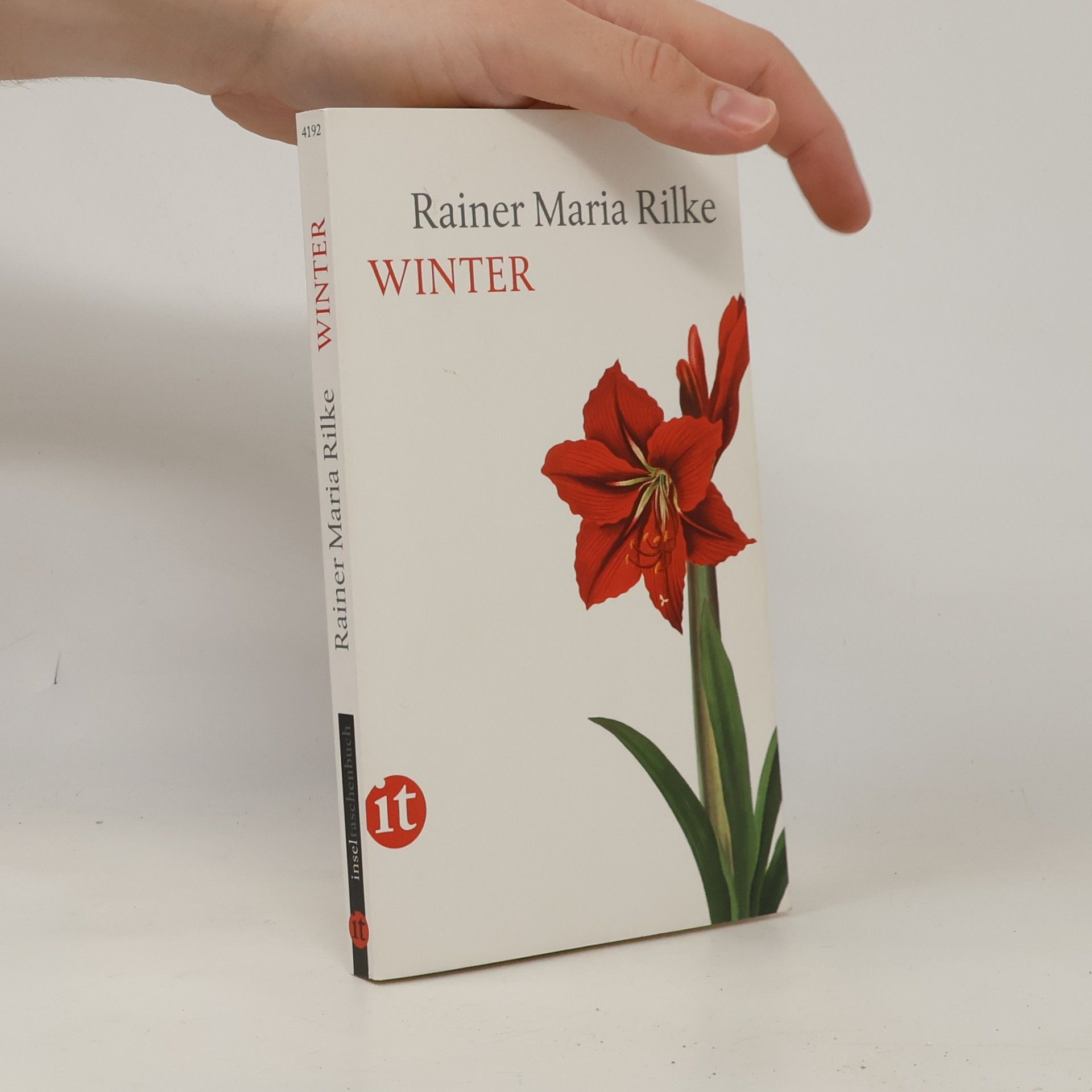 Rainer Maria Rilke Winter