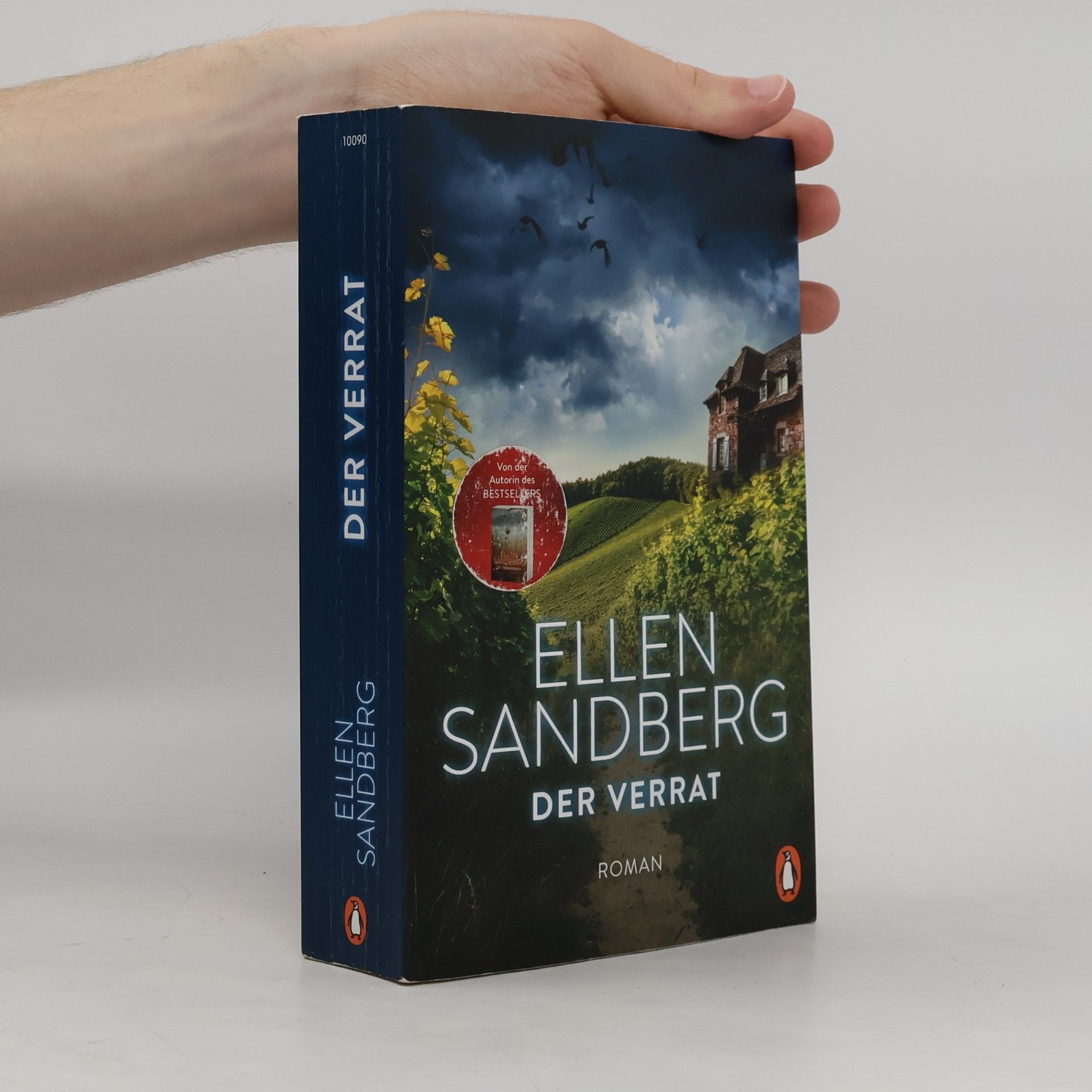Ellen Sandberg Der Verrat