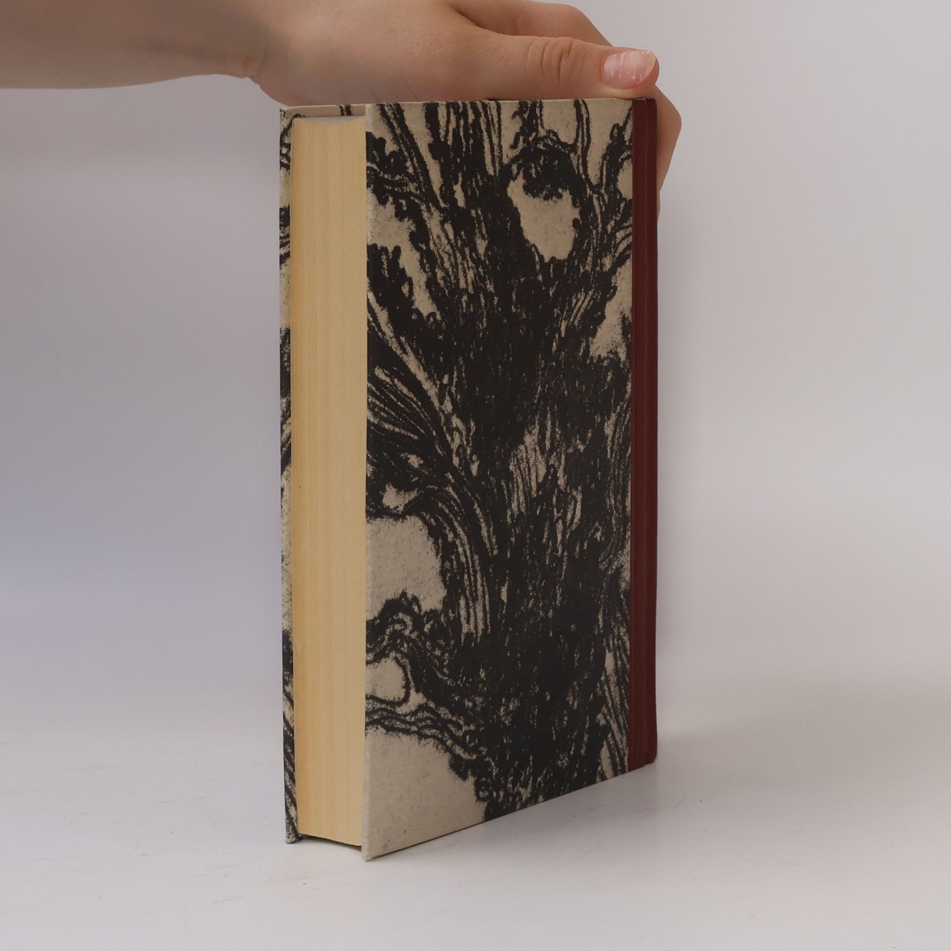 Mary Stewart Der Efeubaum
