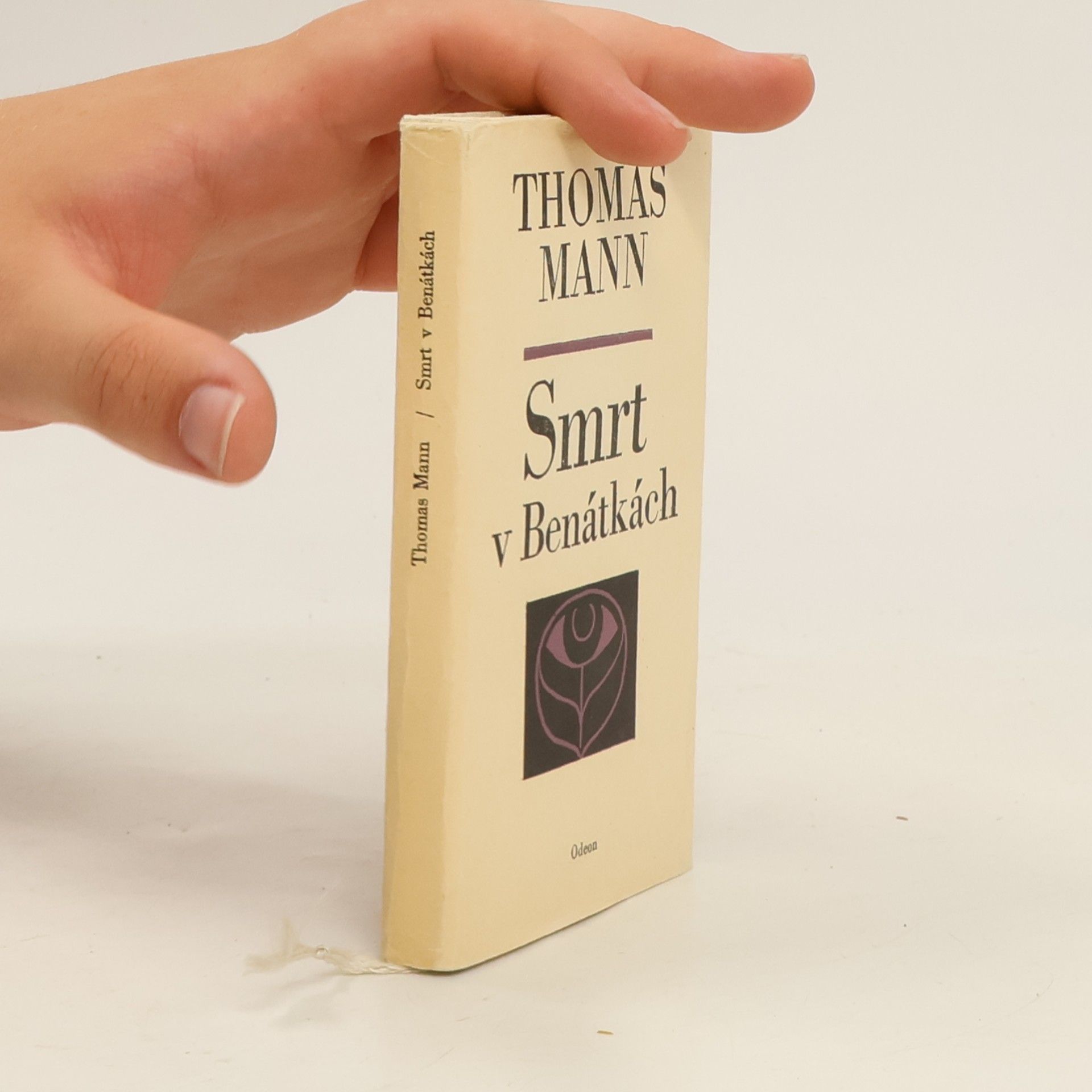 Thomas Mann Smrt v Benátkách