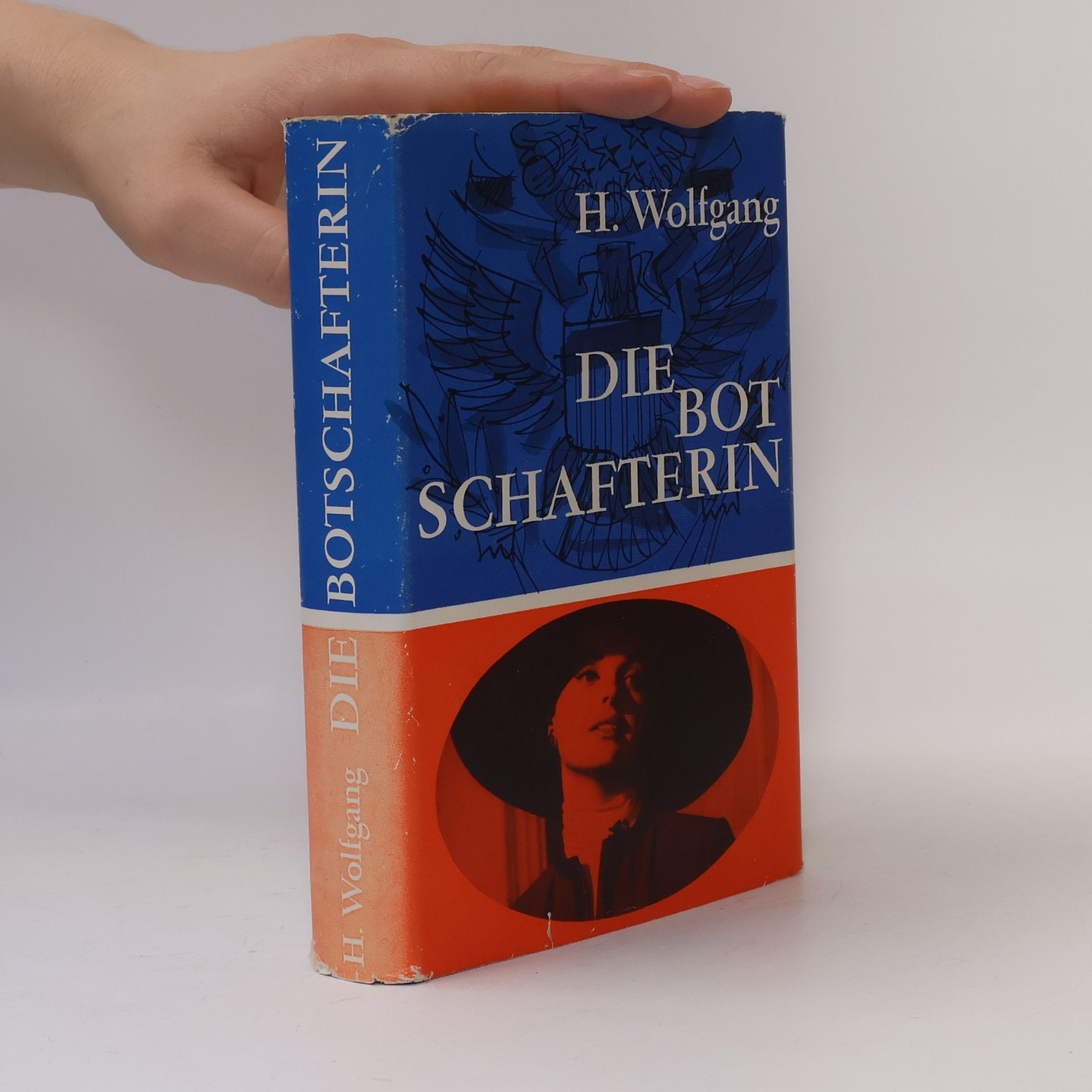 Hans-Wolfgang Wetzel Die Botschafterin