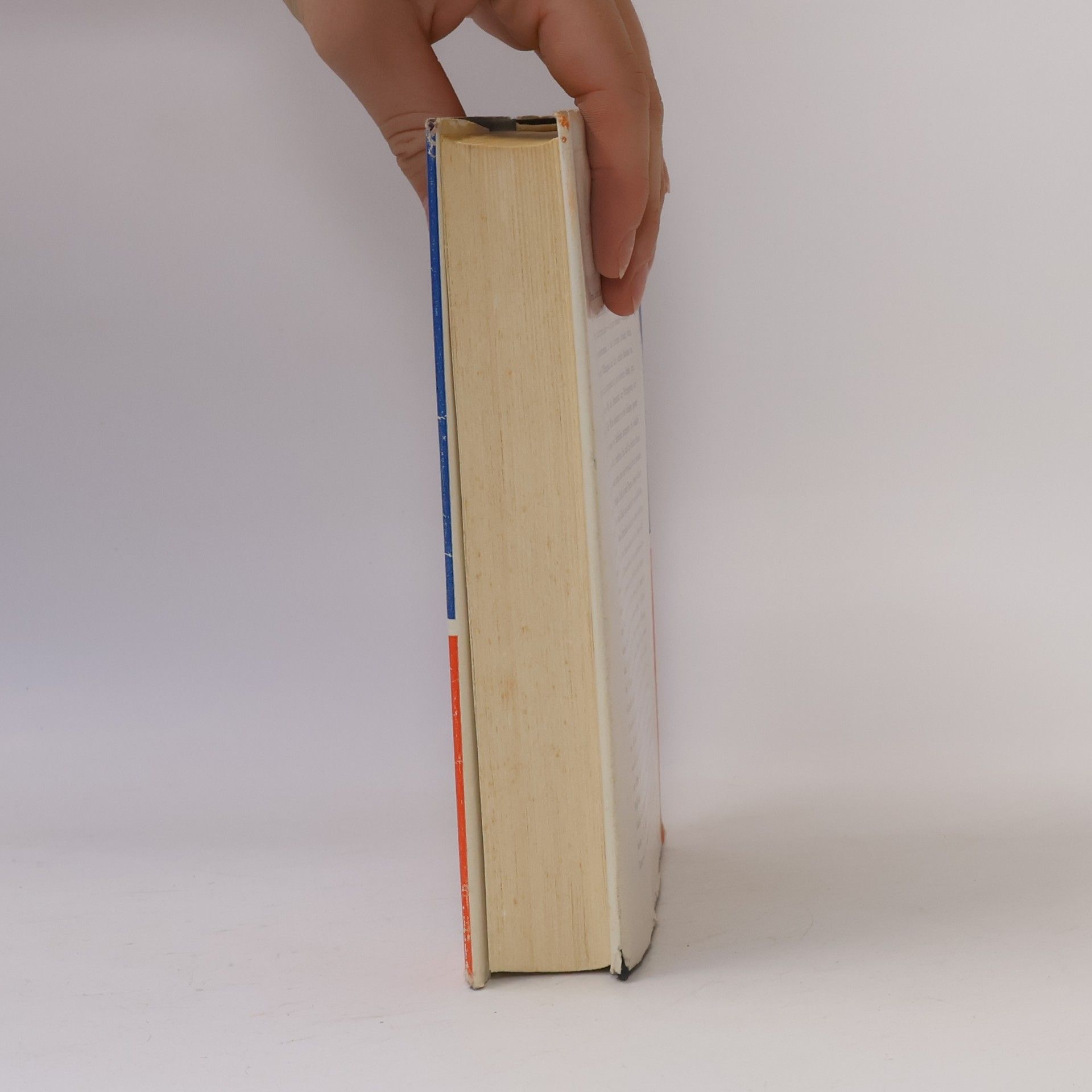Hans-Wolfgang Wetzel Die Botschafterin