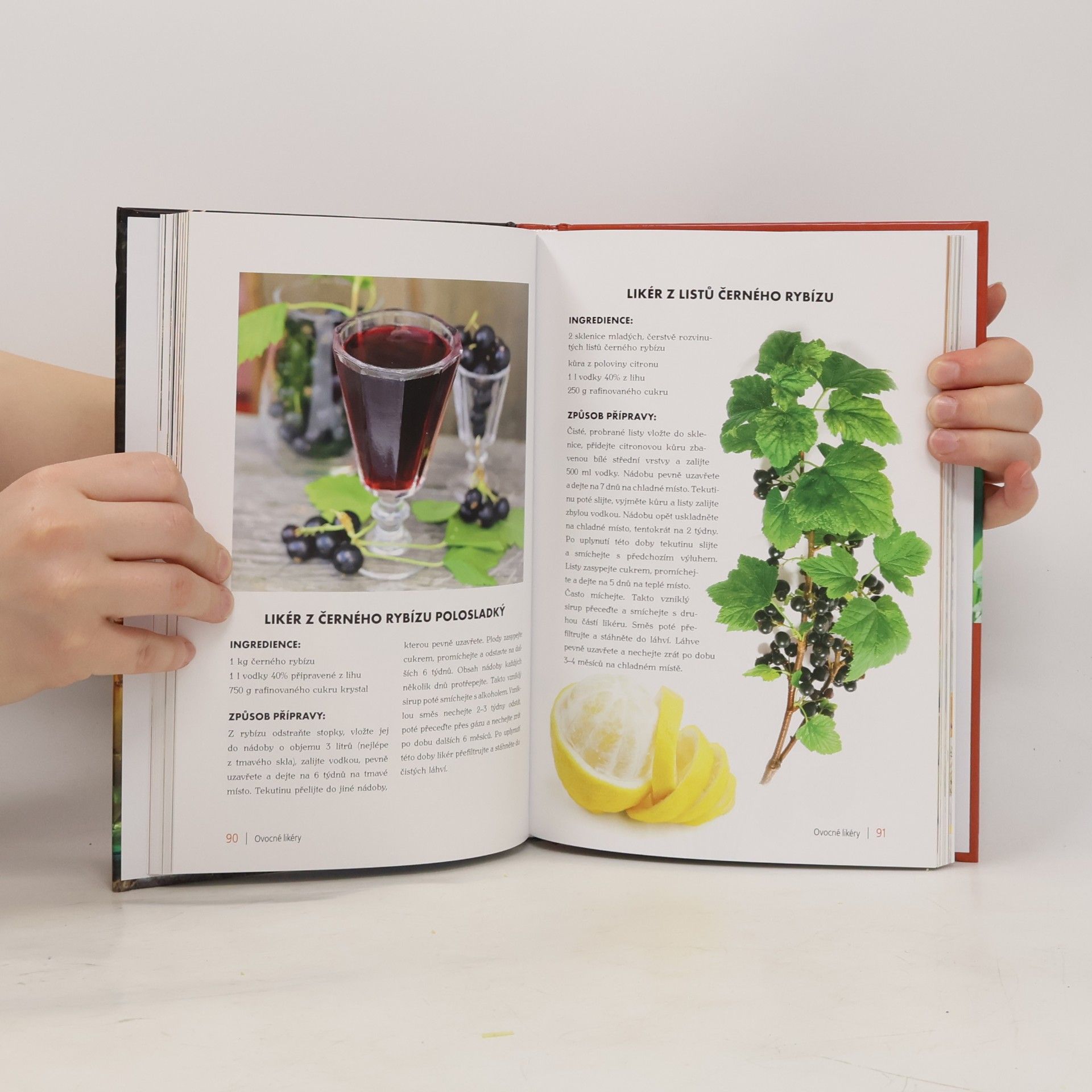 Bogdan Heinz Domácí likéry a tinktury : recepty, ingredience, tipy